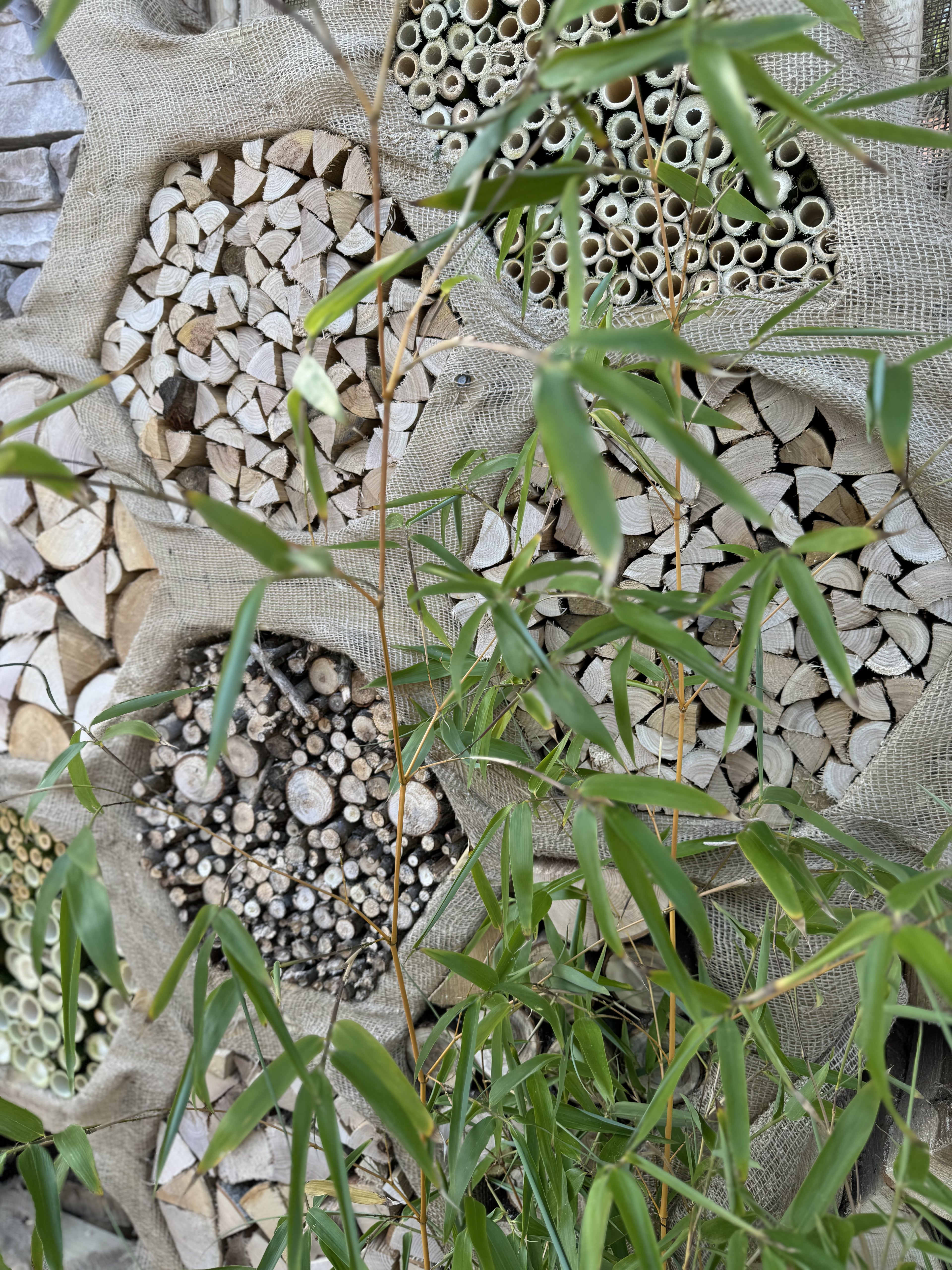 Digital Landscaping Guide - How to Build a Feature Insect Hotel - PDF Download