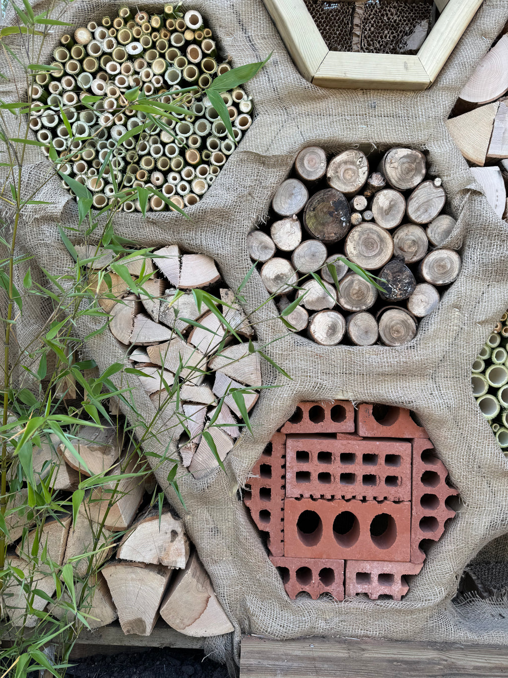 Digital Landscaping Guide - How to Build a Feature Insect Hotel - PDF Download