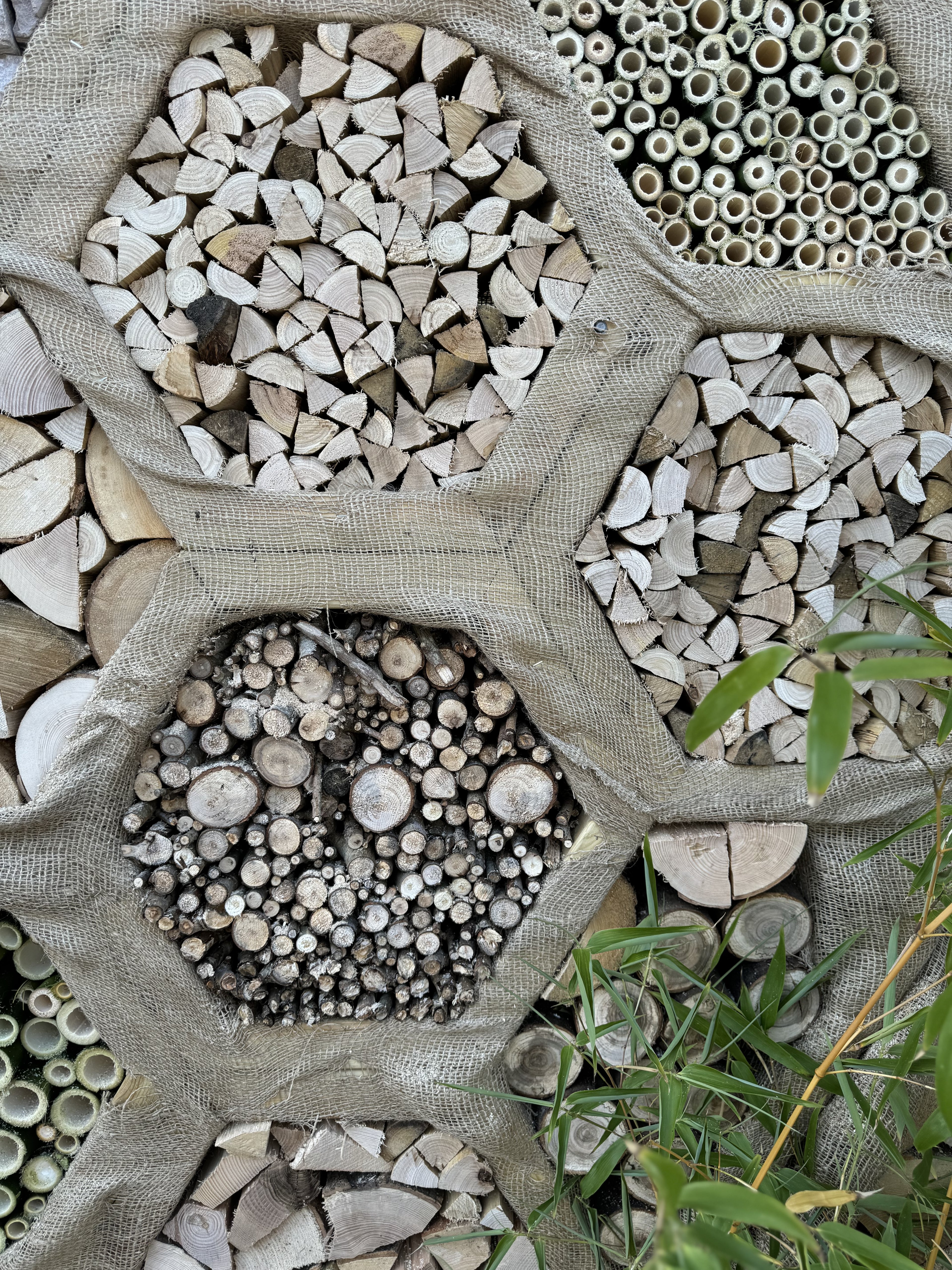 Digital Landscaping Guide - How to Build a Feature Insect Hotel - PDF Download