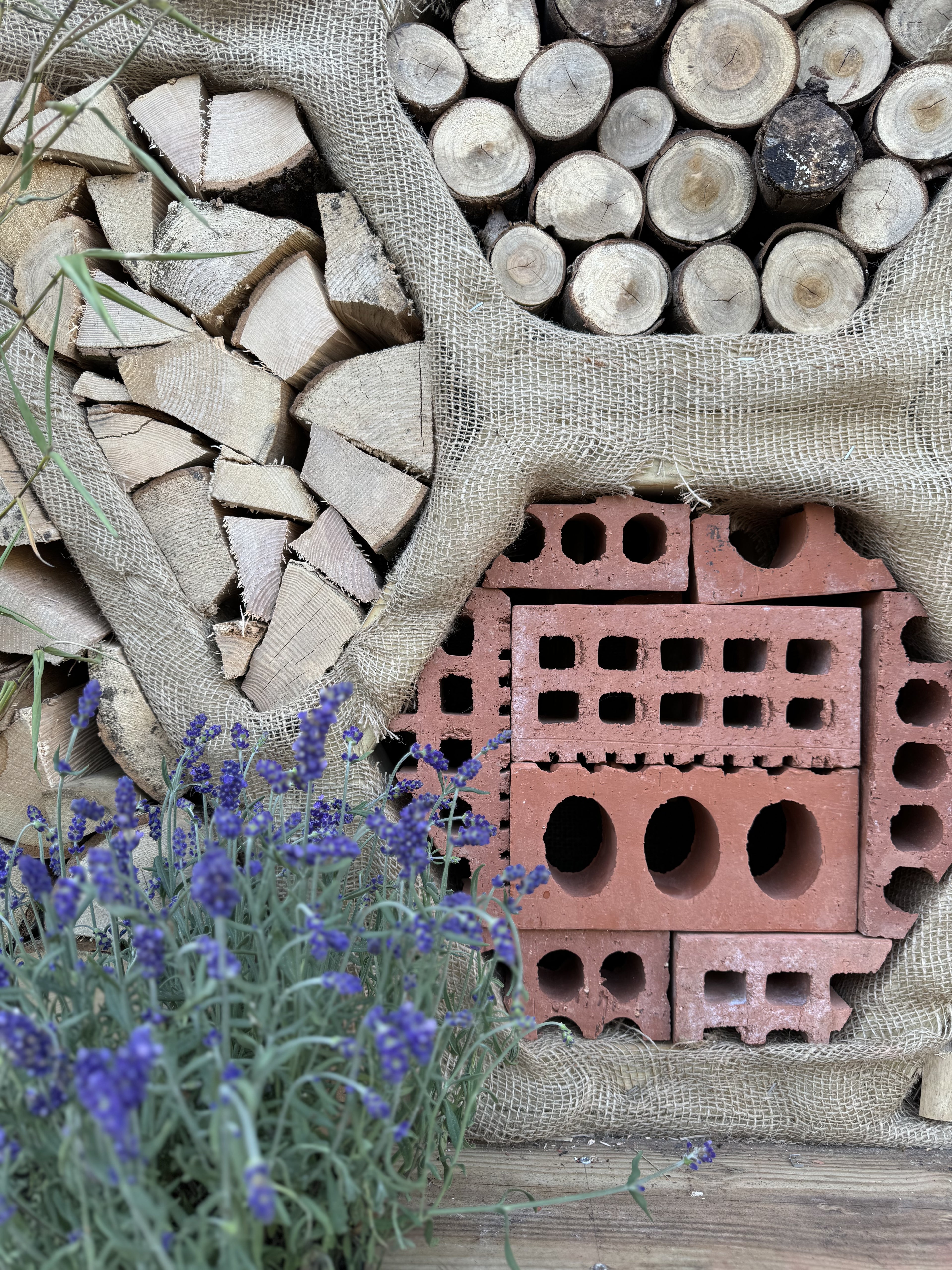 Digital Landscaping Guide - How to Build a Feature Insect Hotel - PDF Download