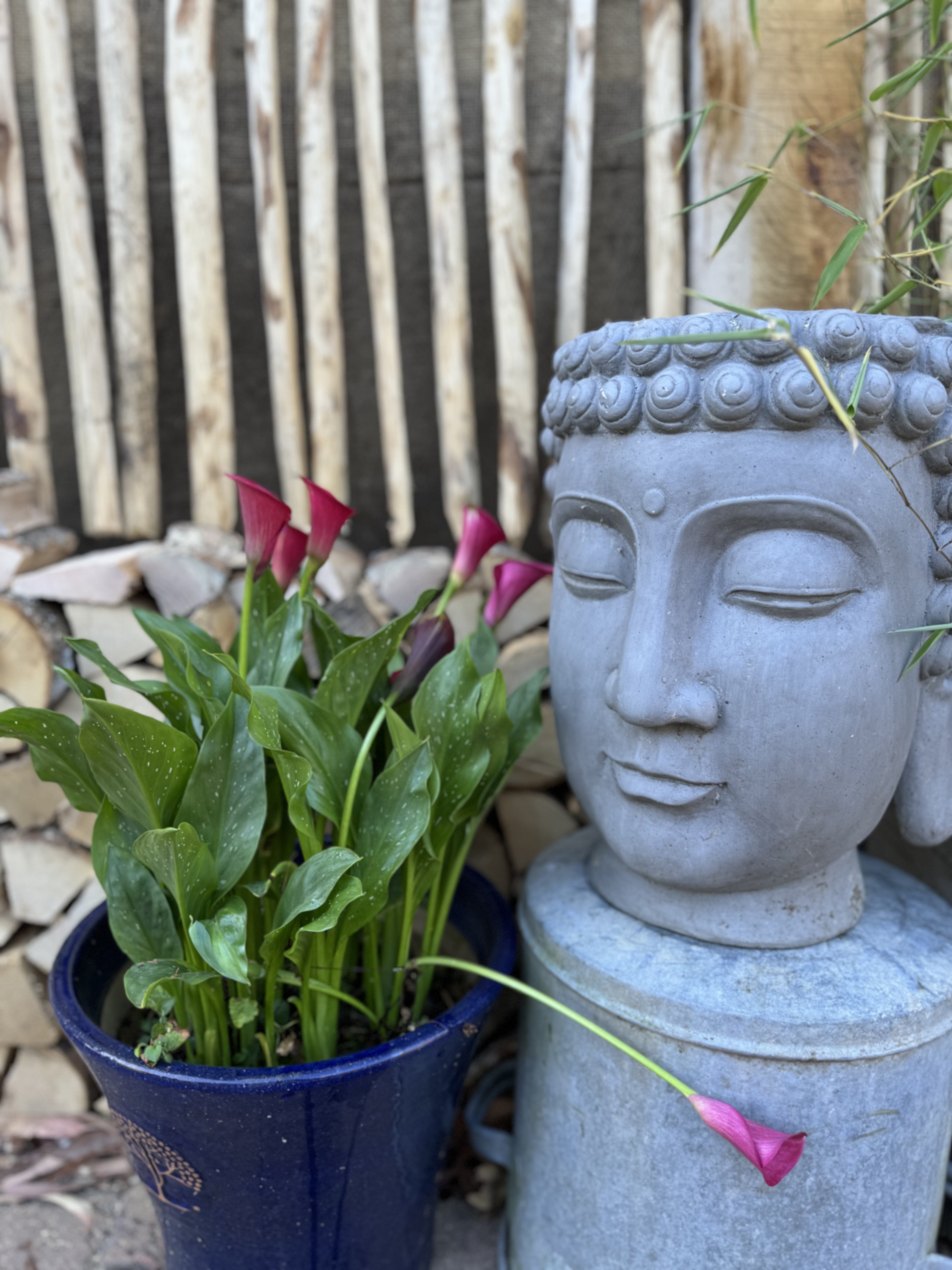 Digital Landscaping Guide - How to Build a Feature Insect Hotel - PDF Download