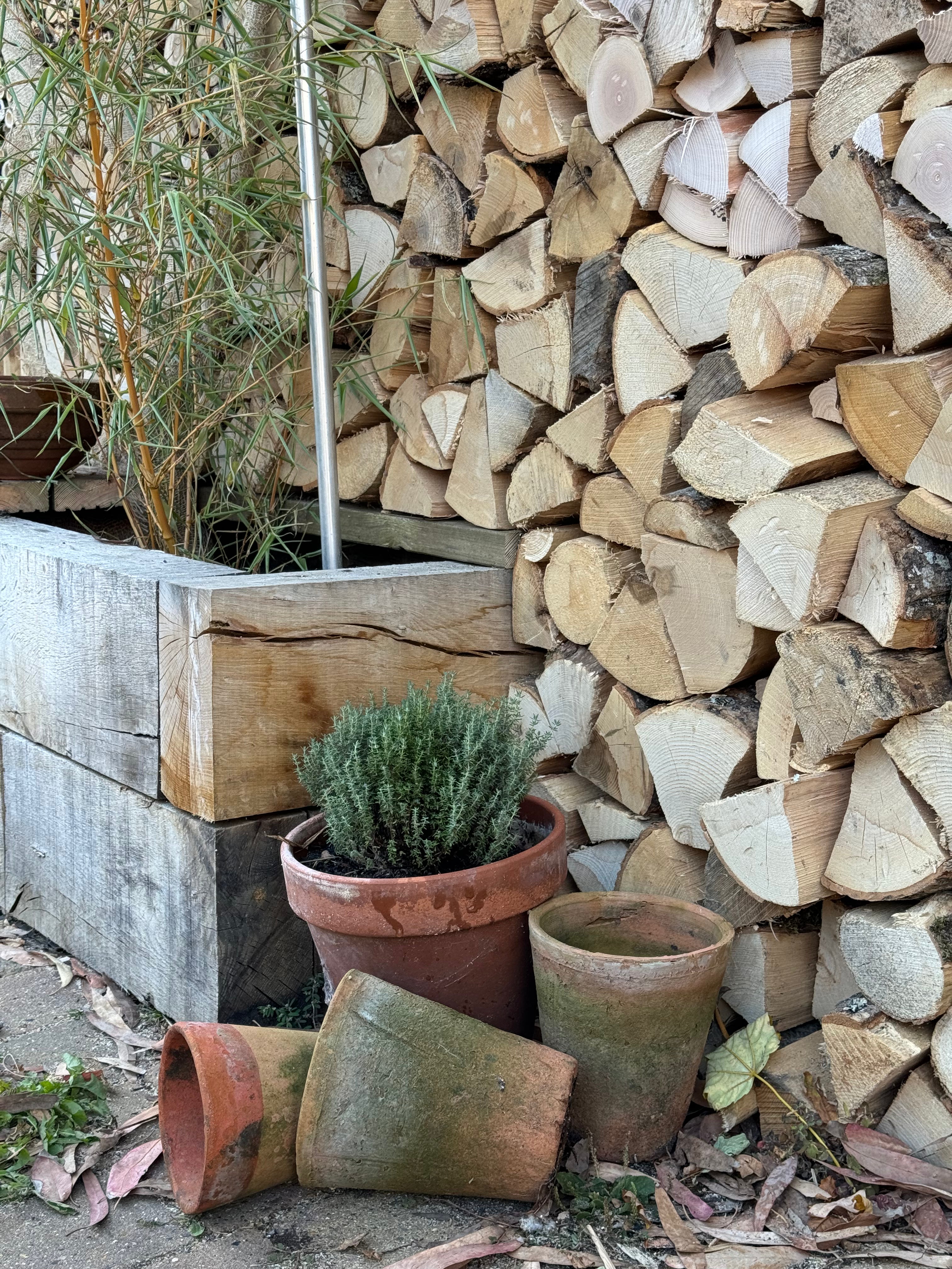 Digital Landscaping Guide - How to Build a Feature Insect Hotel - PDF Download