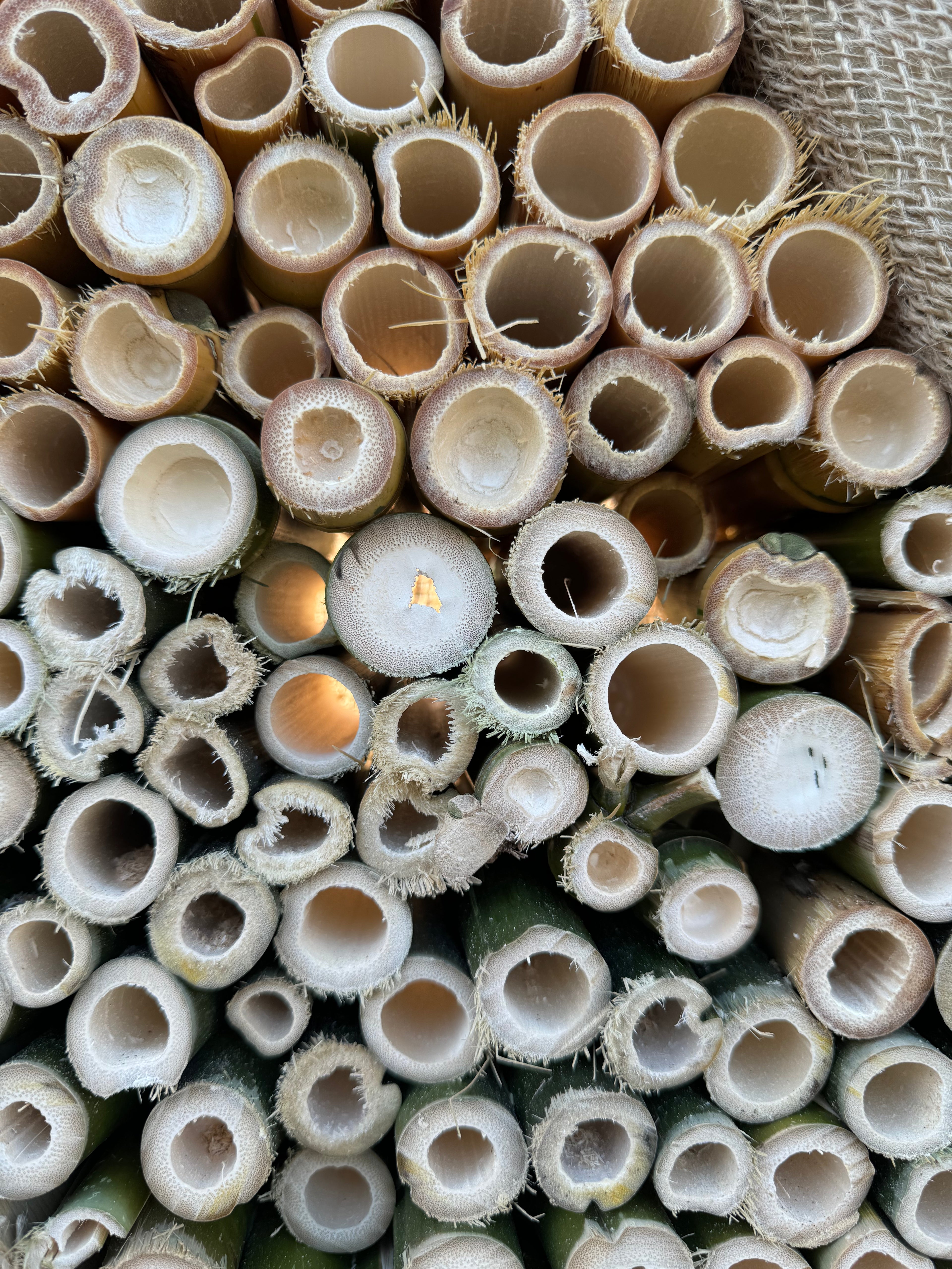 Digital Landscaping Guide - How to Build a Feature Insect Hotel - PDF Download