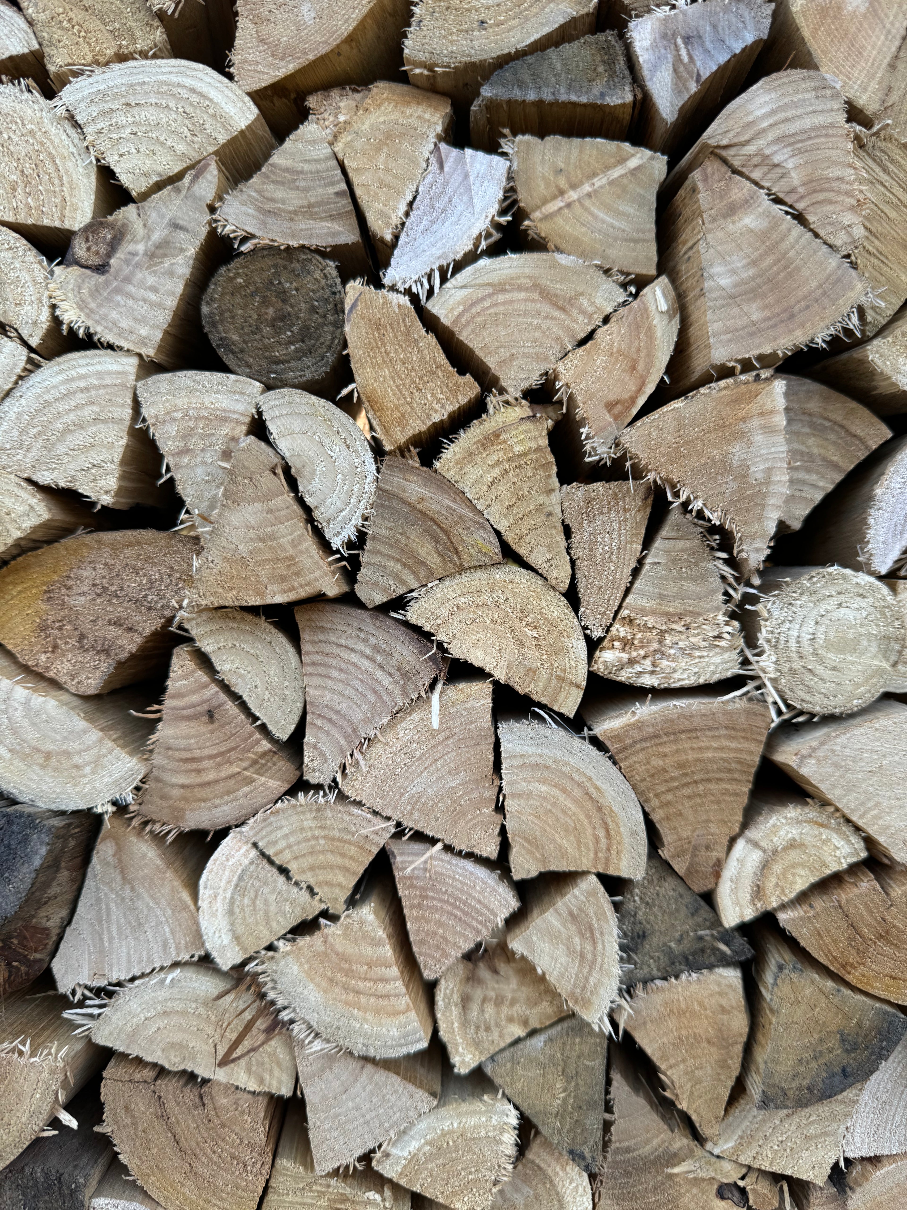 Digital Landscaping Guide - How to Build a Feature Insect Hotel - PDF Download