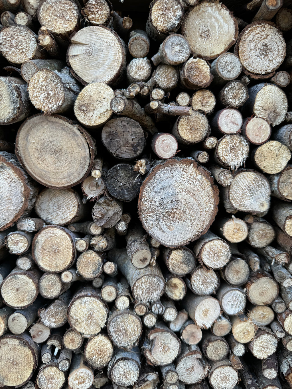 Digital Landscaping Guide - How to Build a Feature Insect Hotel - PDF Download