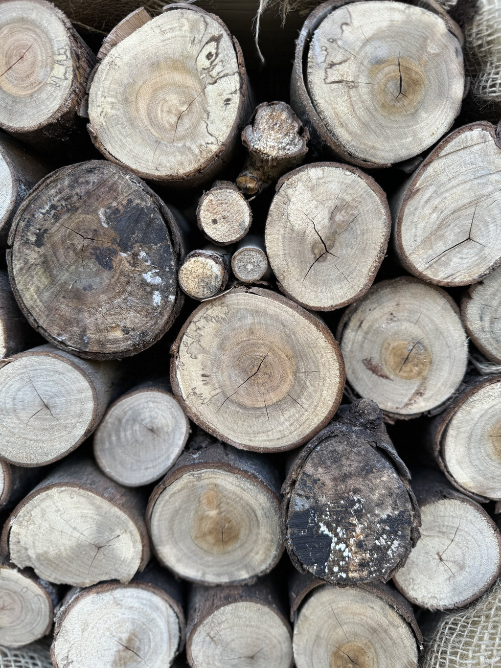 Digital Landscaping Guide - How to Build a Feature Insect Hotel - PDF Download