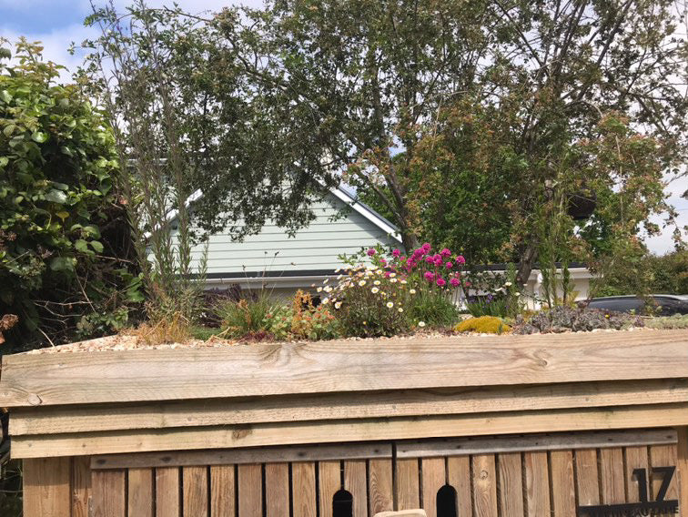 Digital Landscaping Guide - How to Build a Green Roof Refuse Store - PDF Download