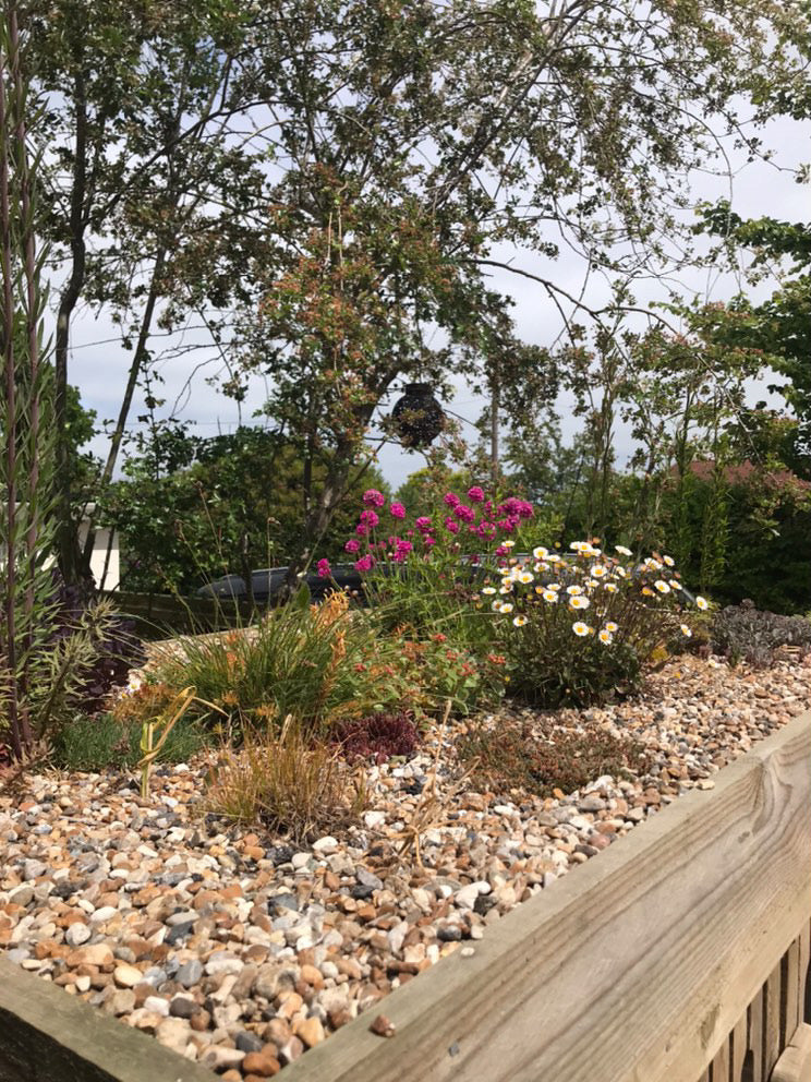 Digital Landscaping Guide - How to Build a Green Roof Refuse Store - PDF Download