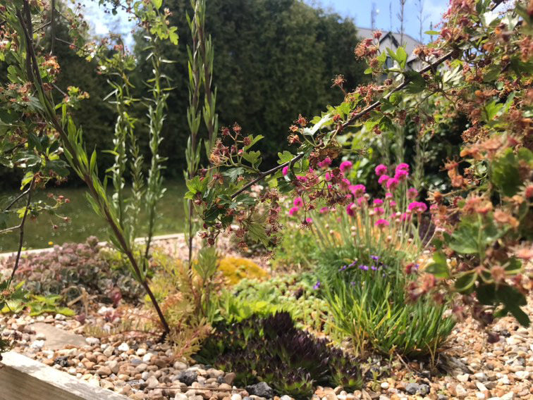 Digital Landscaping Guide - How to Build a Green Roof Refuse Store - PDF Download