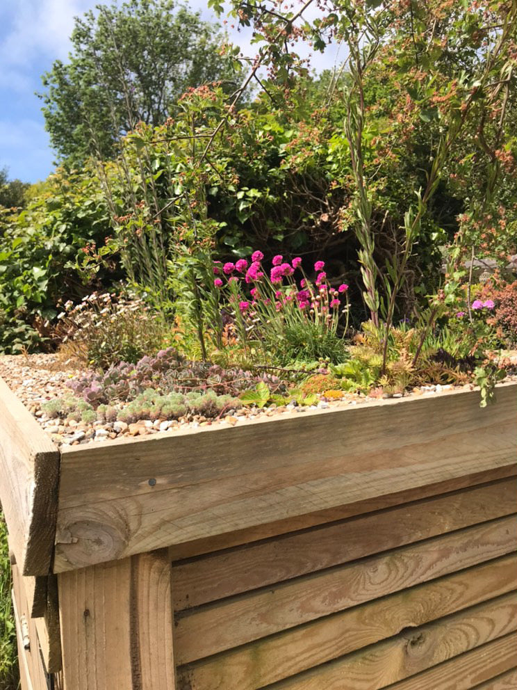 Digital Landscaping Guide - How to Build a Green Roof Refuse Store - PDF Download