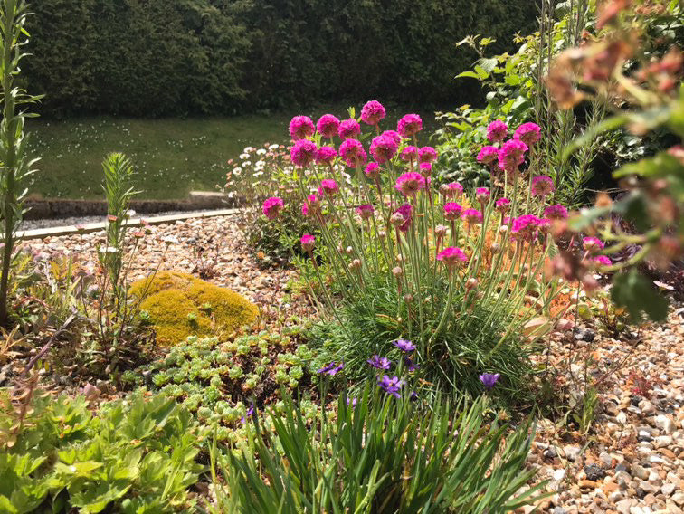 Digital Landscaping Guide - How to Build a Green Roof Refuse Store - PDF Download