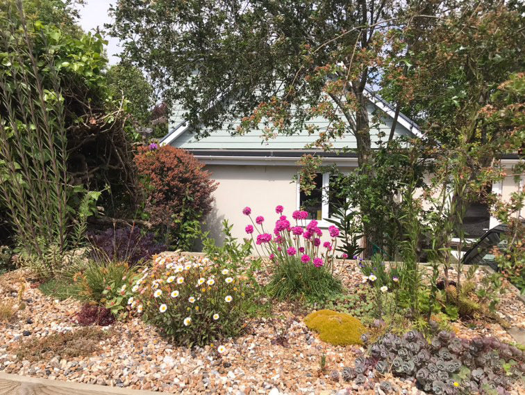 Digital Landscaping Guide - How to Build a Green Roof Refuse Store - PDF Download