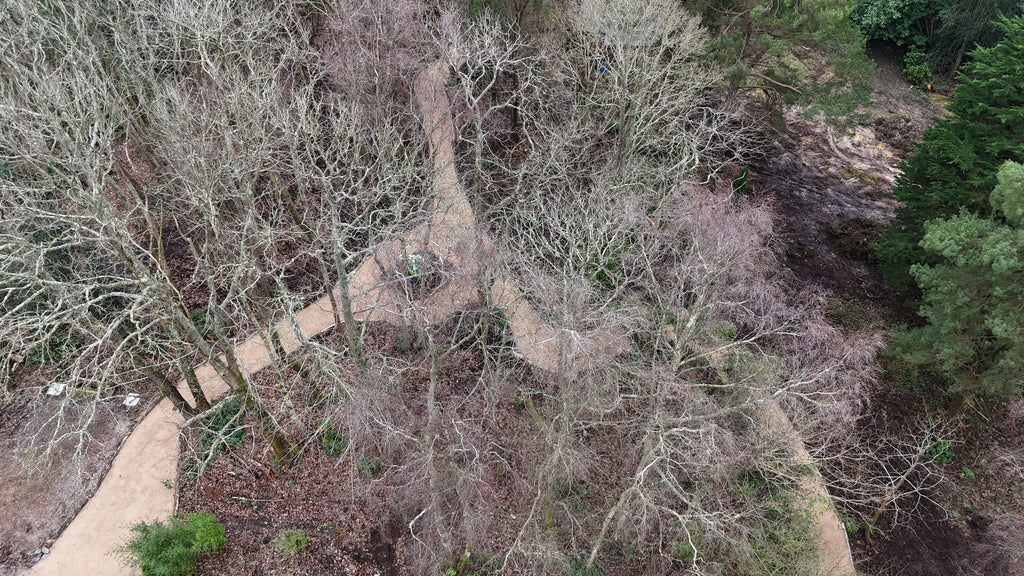 Digital Landscaping Guide - How to Build a Woodland Path - PDF Download