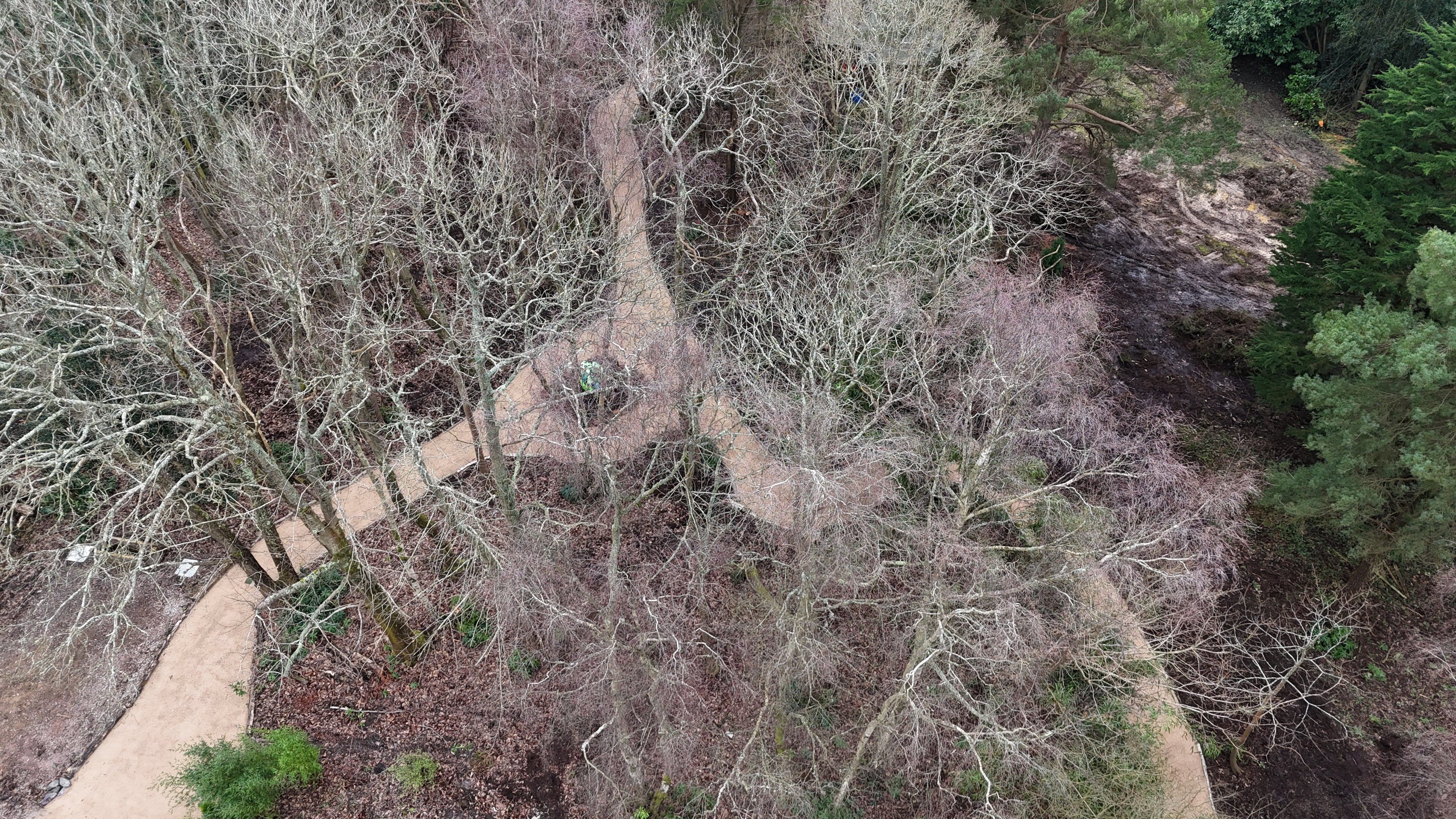 Digital Landscaping Guide - How to Build a Woodland Path - PDF Download