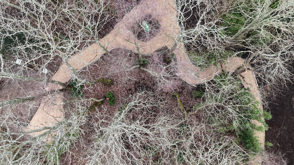 Digital Landscaping Guide - How to Build a Woodland Path - PDF Download