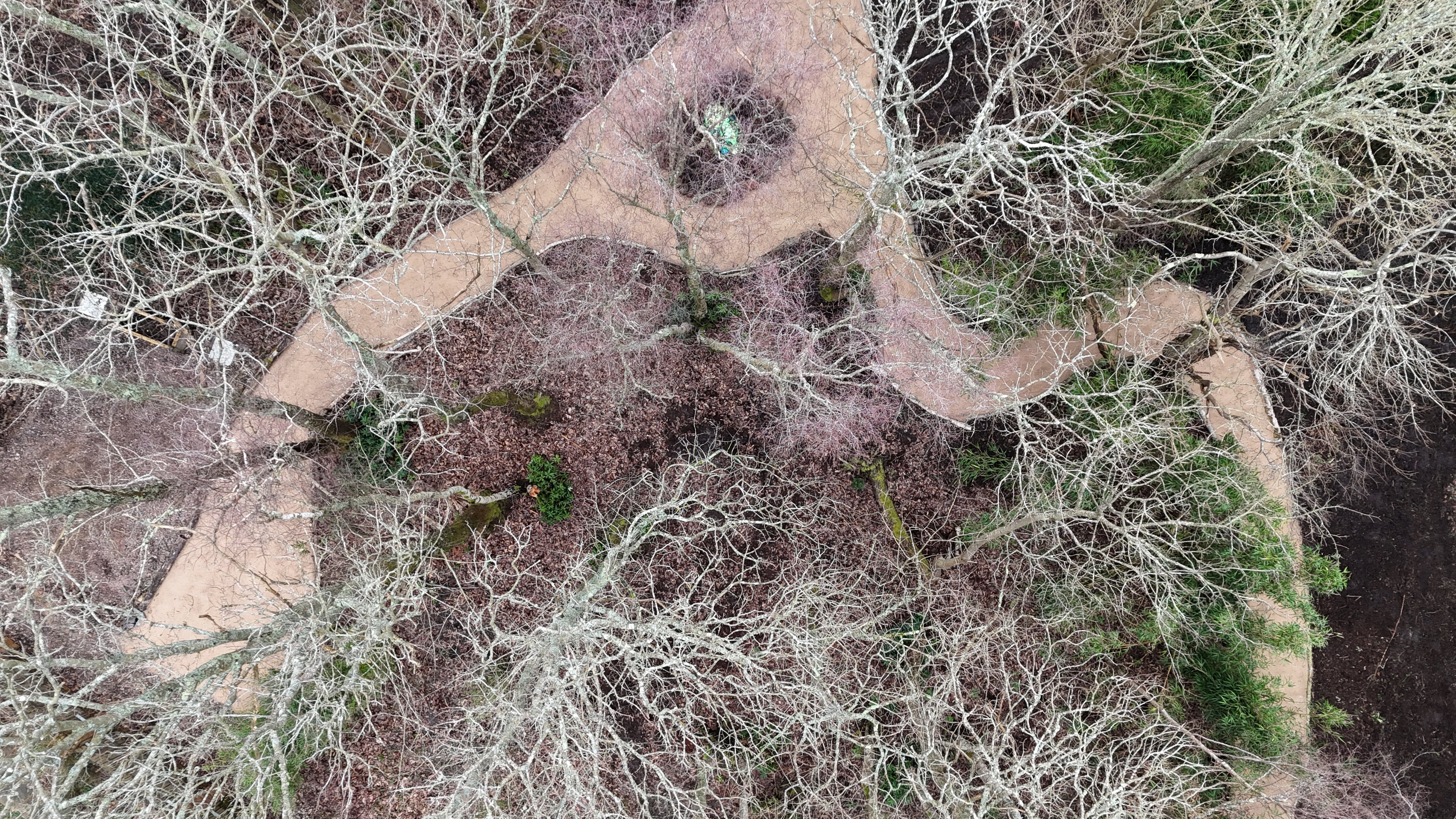 Digital Landscaping Guide - How to Build a Woodland Path - PDF Download