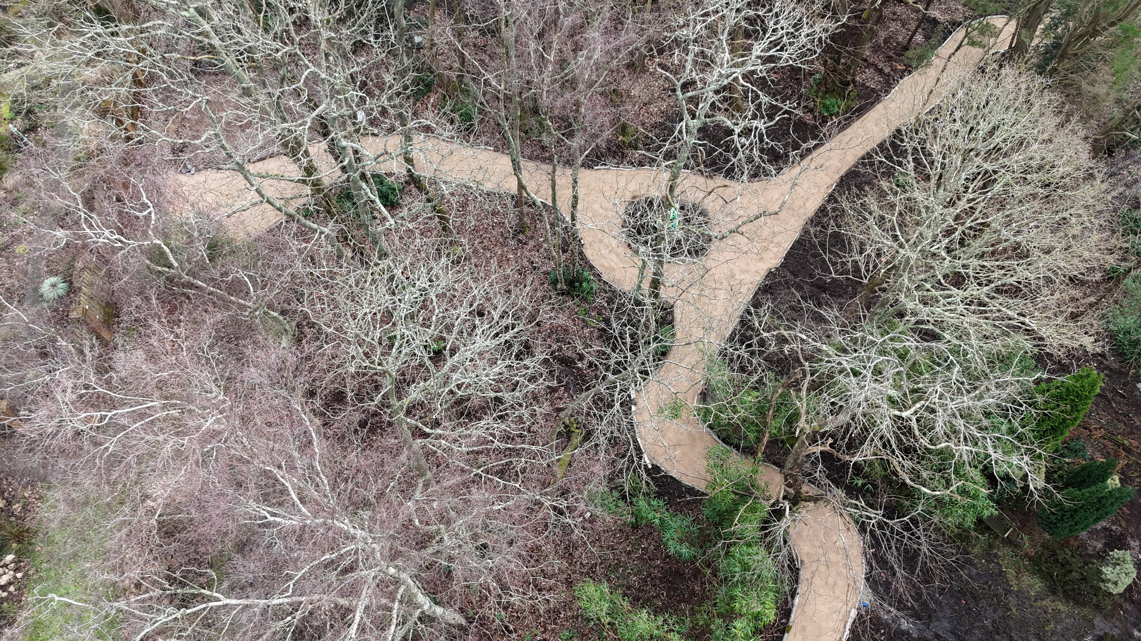 Digital Landscaping Guide - How to Build a Woodland Path - PDF Download