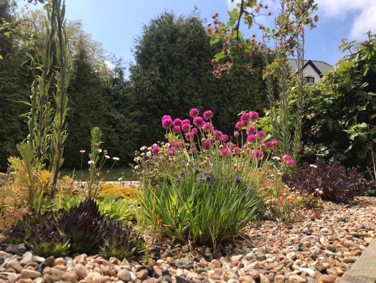 Digital Landscaping Guide - How to Build a Green Roof Refuse Store - PDF Download