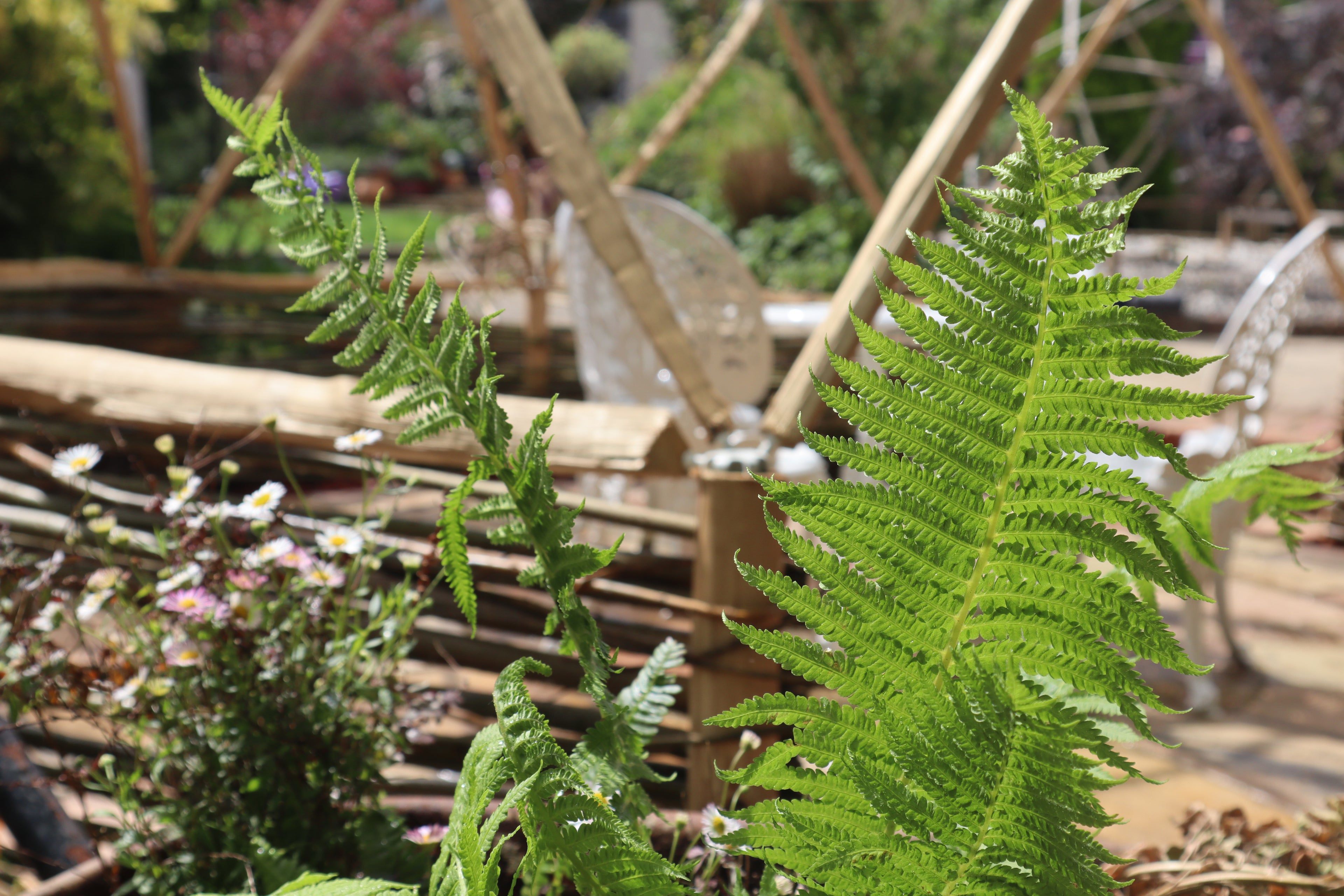 Digital Landscaping Guide - How to Build a Geodesic Dome - PDF Download