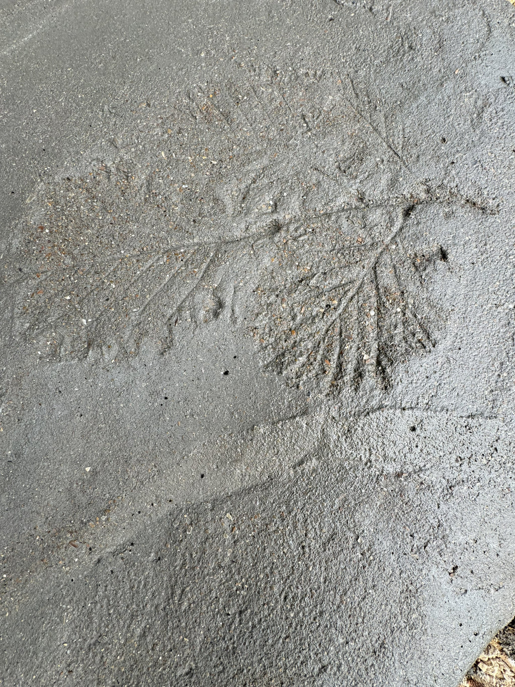 Digital Landscaping Guide - How to Build Your Own Stepping Stones - PDF Download