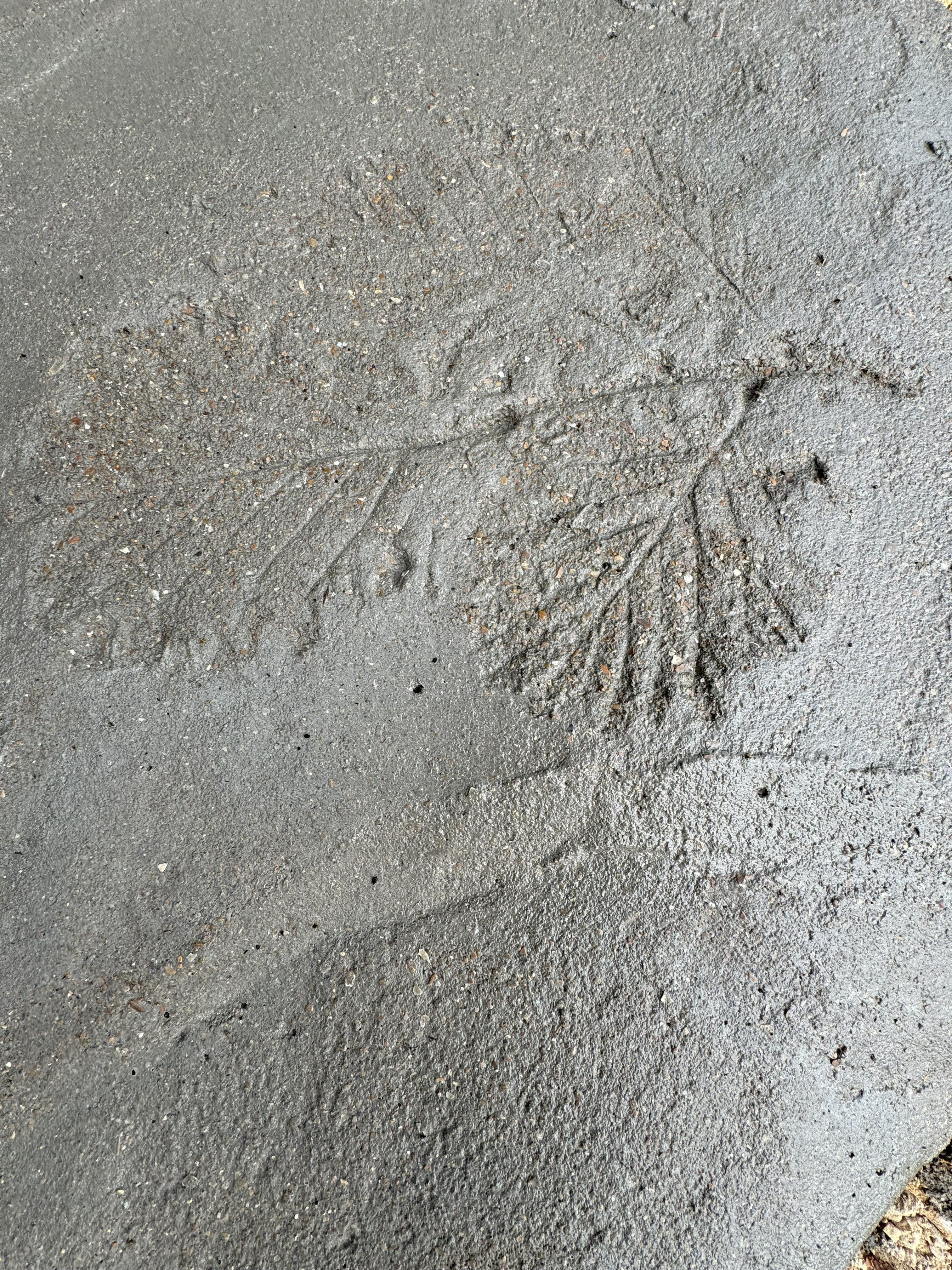 Digital Landscaping Guide - How to Build Your Own Stepping Stones - PDF Download