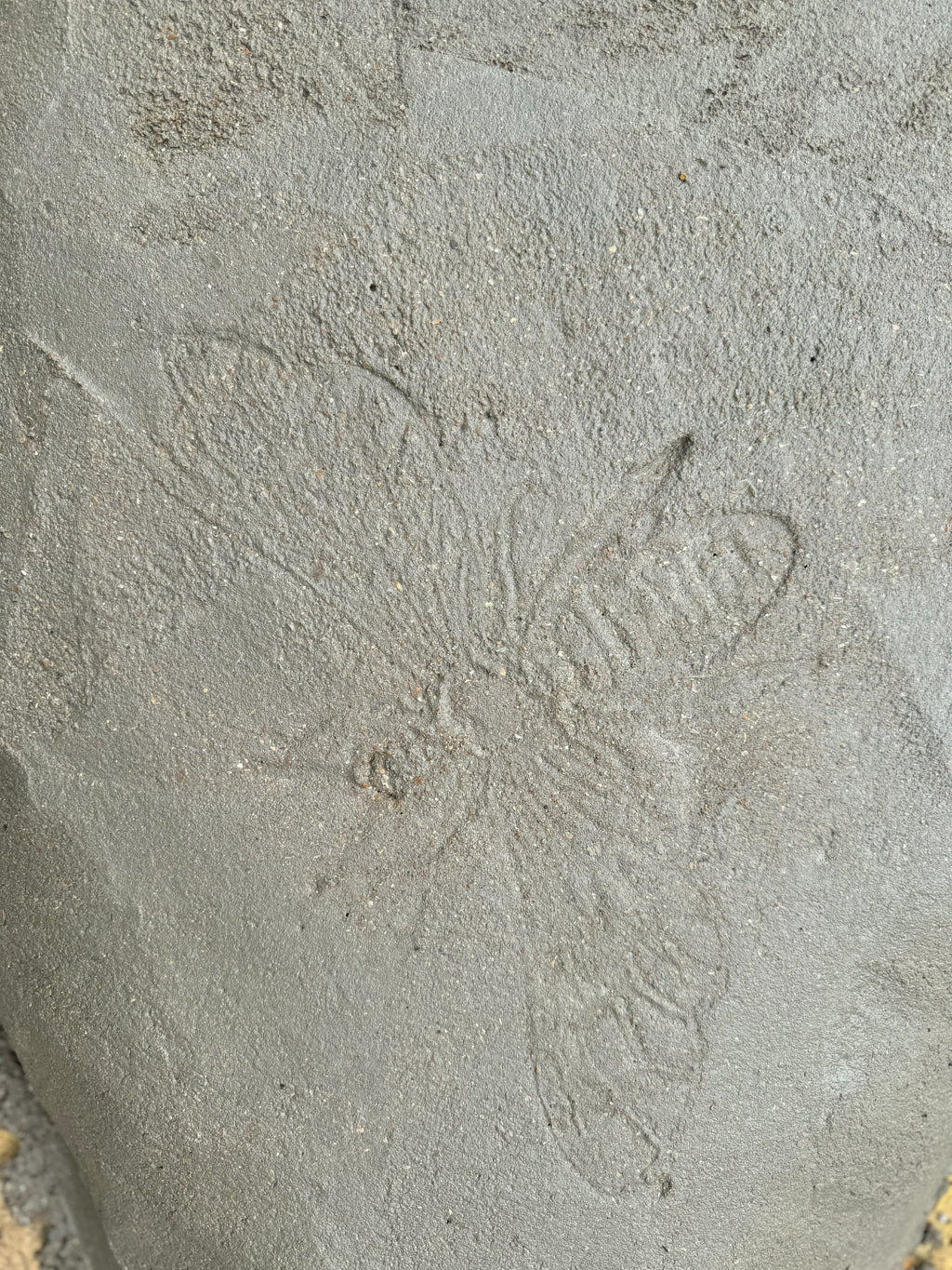 Digital Landscaping Guide - How to Build Your Own Stepping Stones - PDF Download