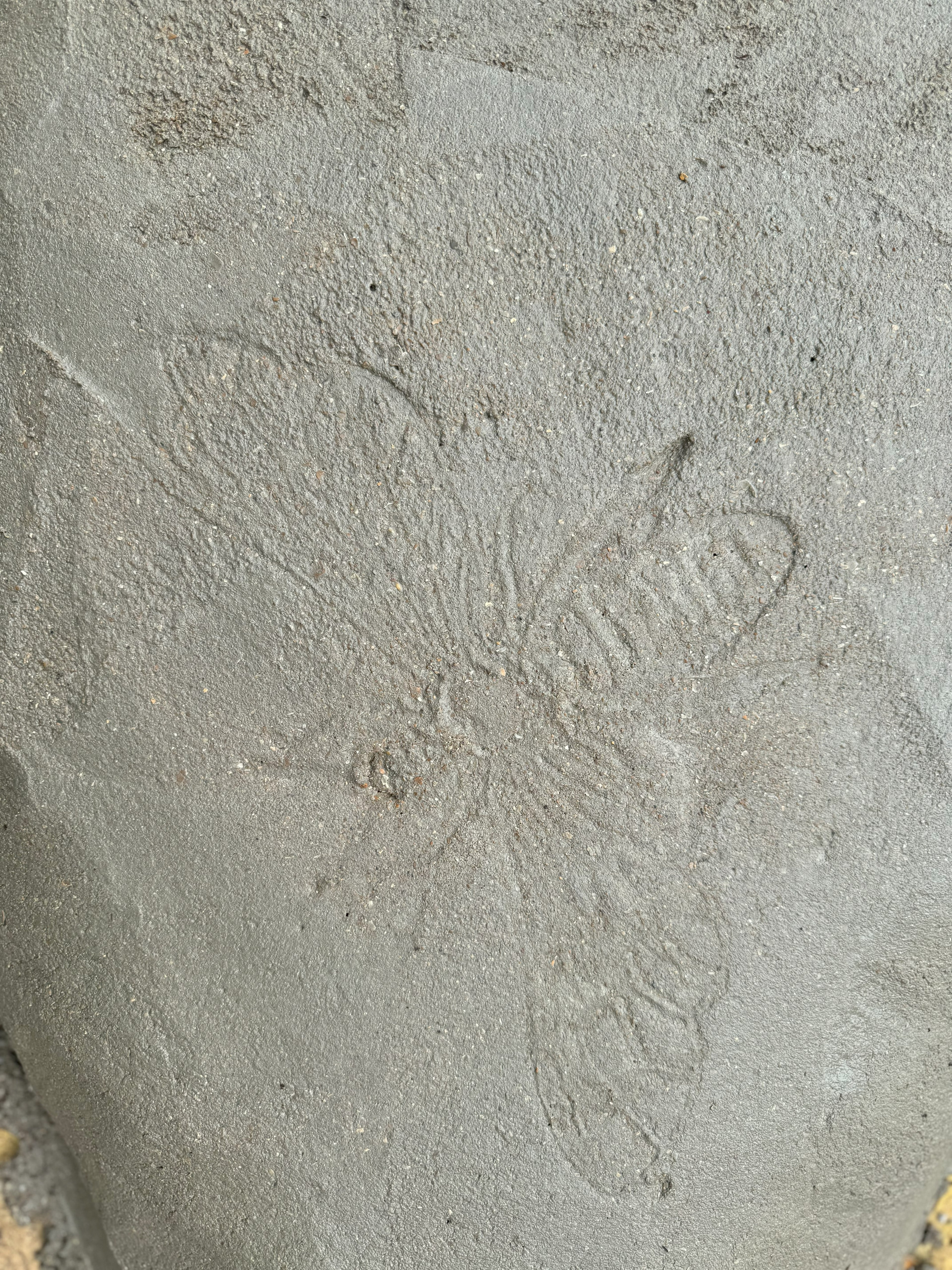 Digital Landscaping Guide - How to Build Your Own Stepping Stones - PDF Download