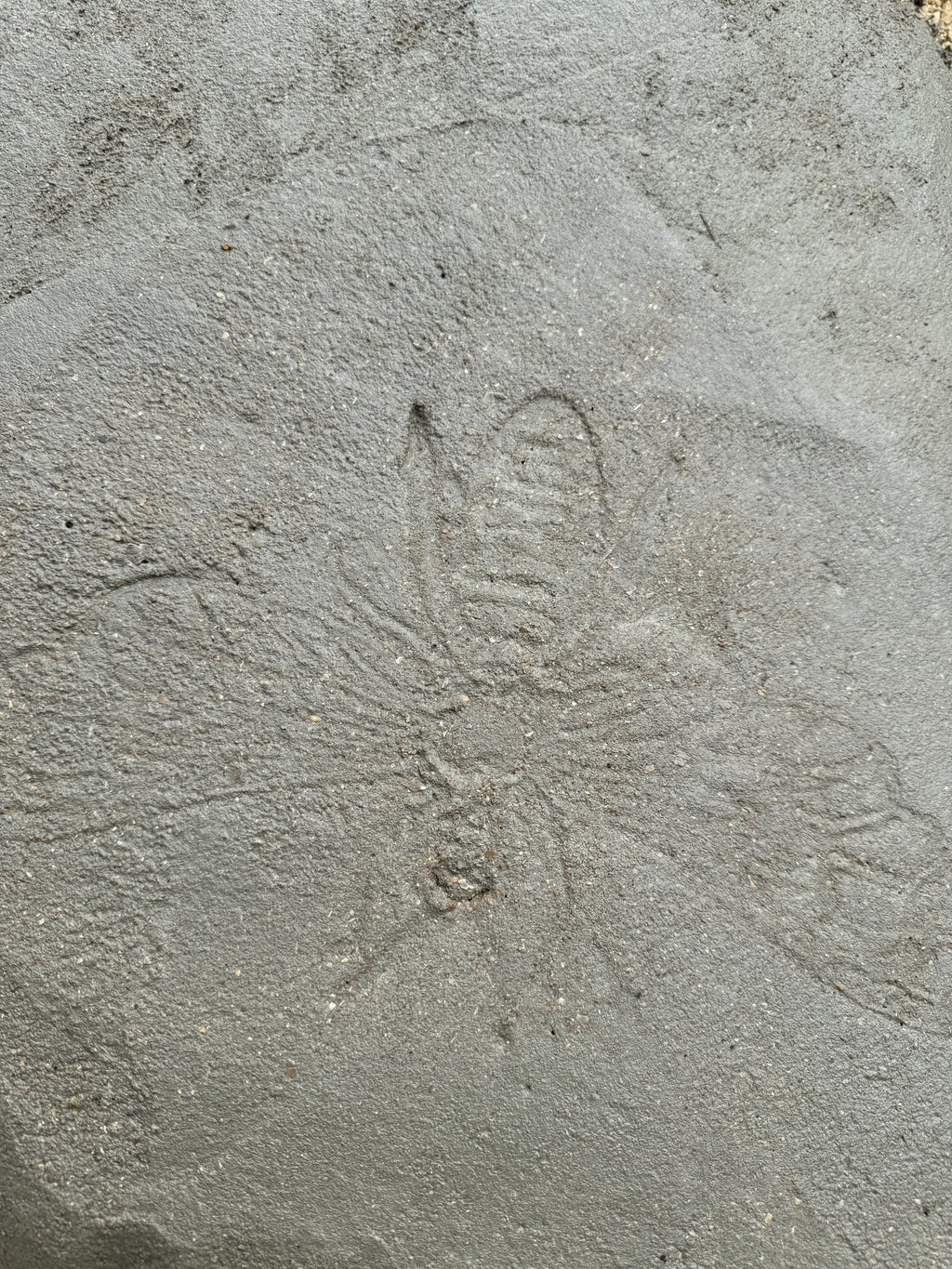 Digital Landscaping Guide - How to Build Your Own Stepping Stones - PDF Download