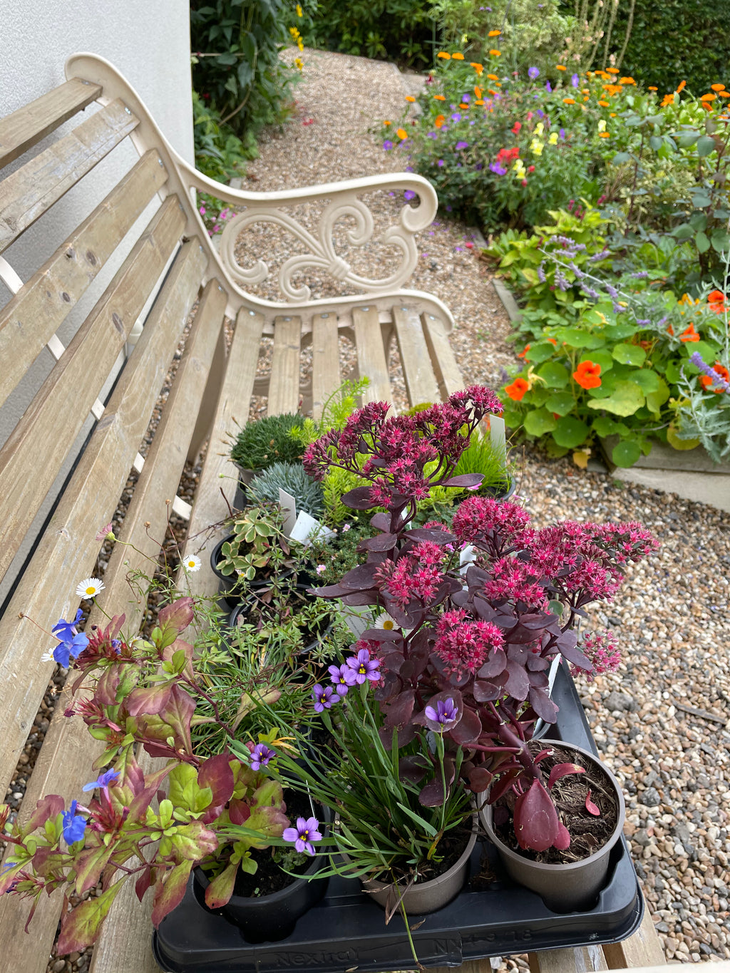 Digital Landscaping Guide - How to Build a Green Roof Refuse Store - PDF Download