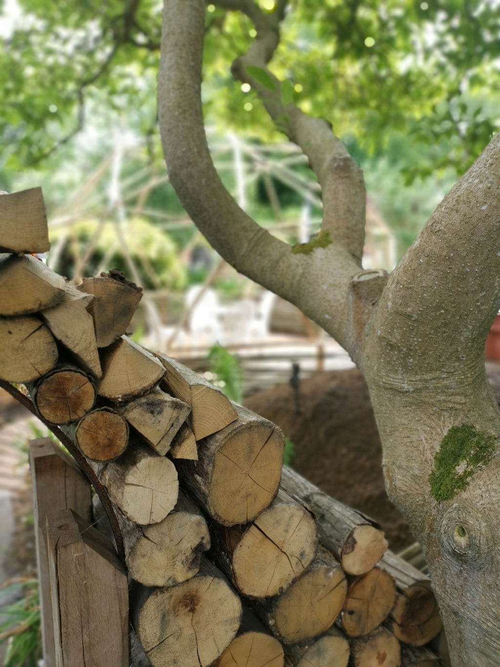 Digital Landscaping Guide - How to Build a Log Archway - PDF Download