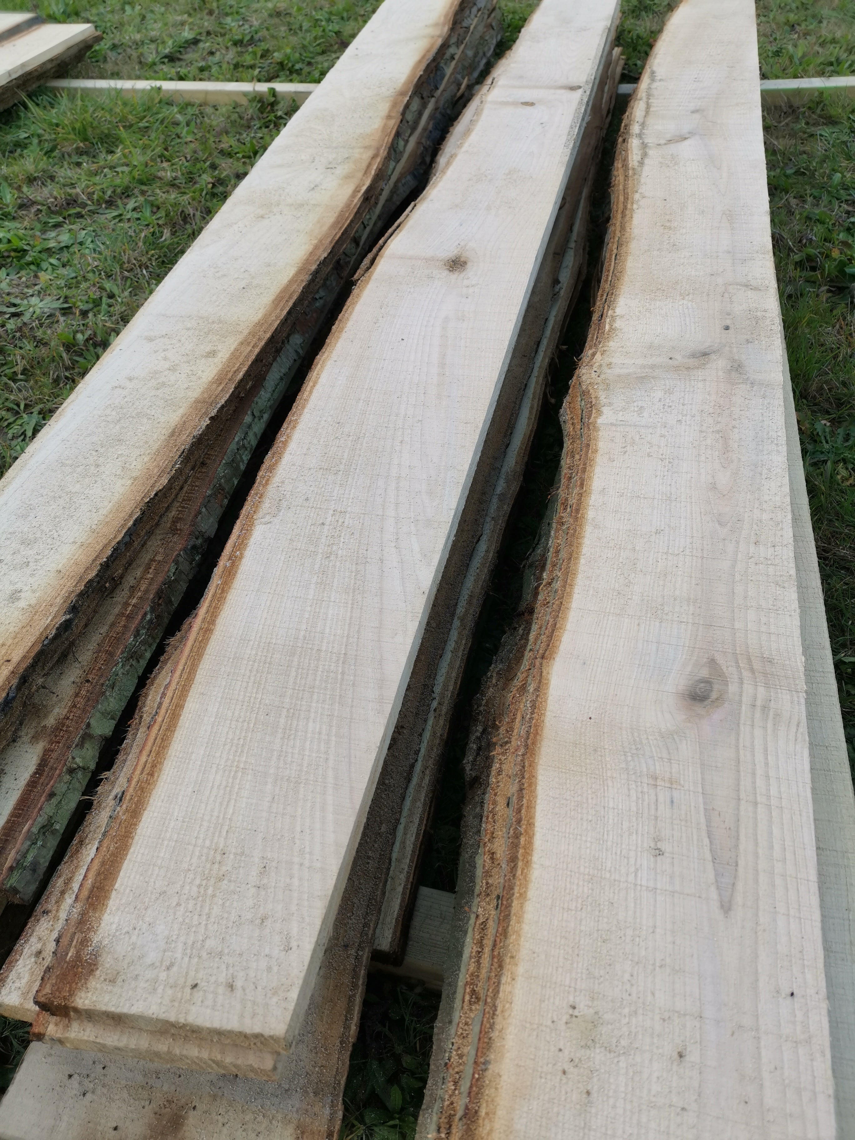 Digital Landscaping Guide - How to Build a Rustic Cabin - PDF Download