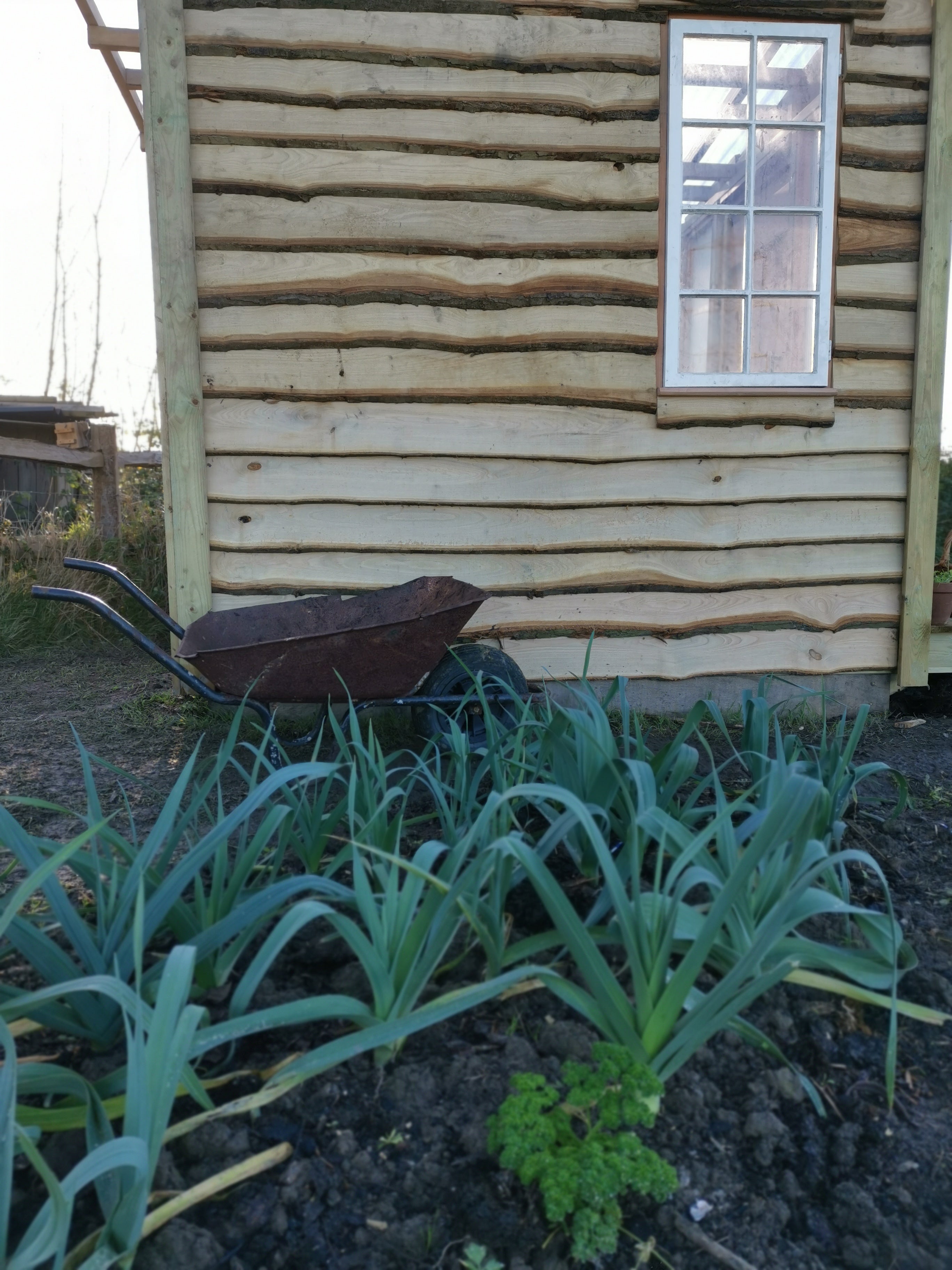 Digital Landscaping Guide - How to Build a Rustic Cabin - PDF Download