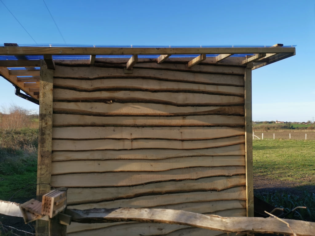 Digital Landscaping Guide - How to Build a Rustic Cabin - PDF Download