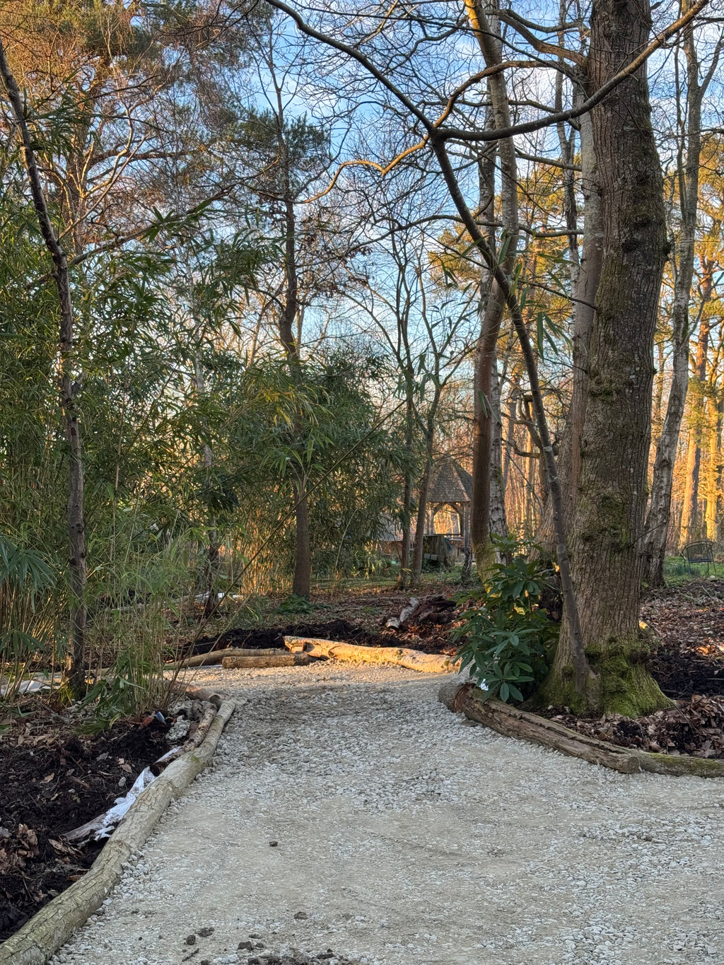 Digital Landscaping Guide - How to Build a Woodland Path - PDF Download