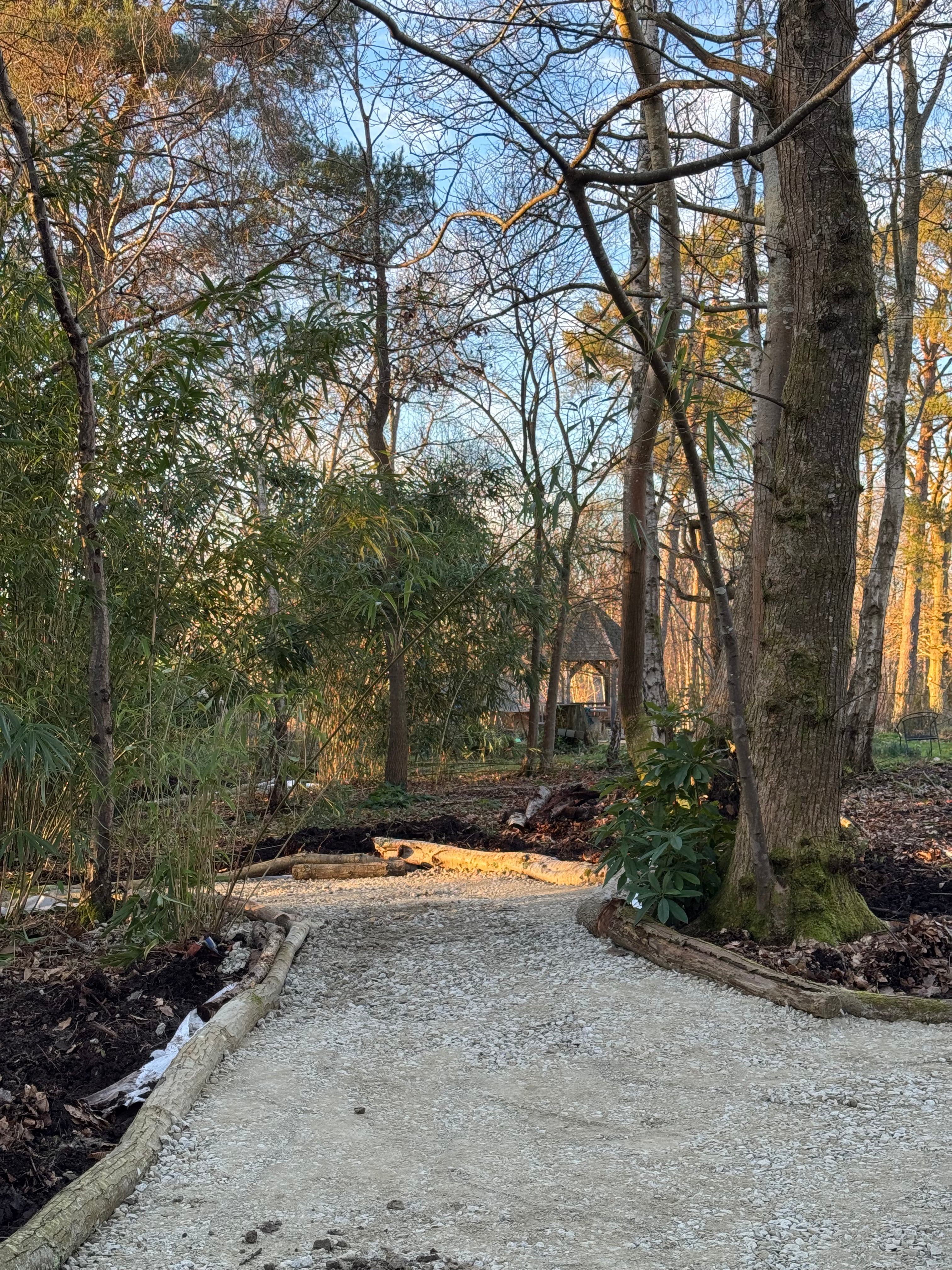Digital Landscaping Guide - How to Build a Woodland Path - PDF Download