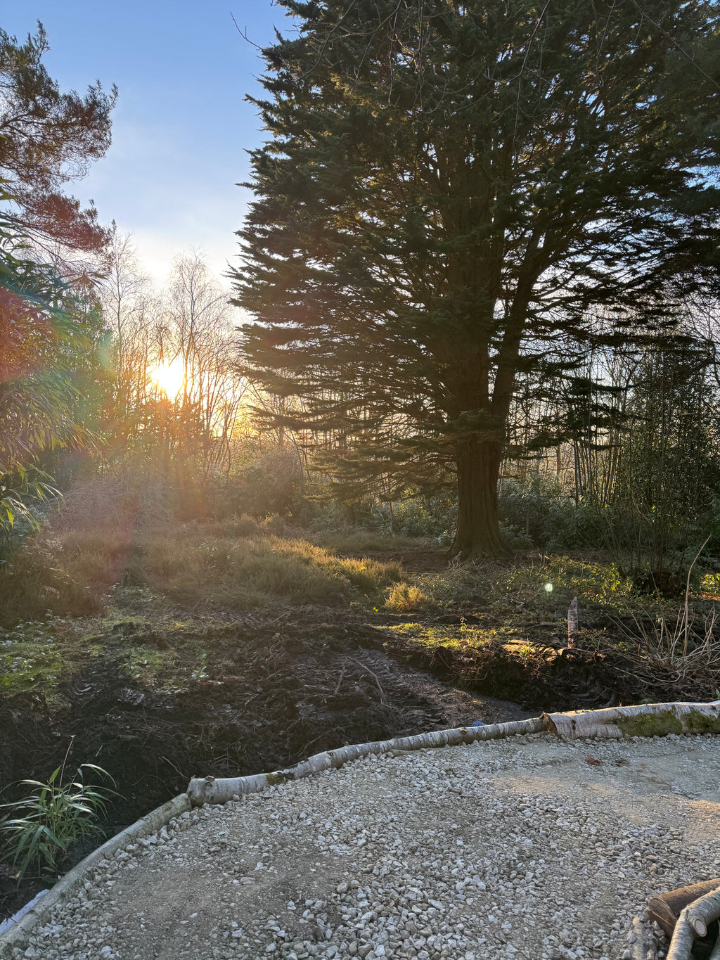 Digital Landscaping Guide - How to Build a Woodland Path - PDF Download