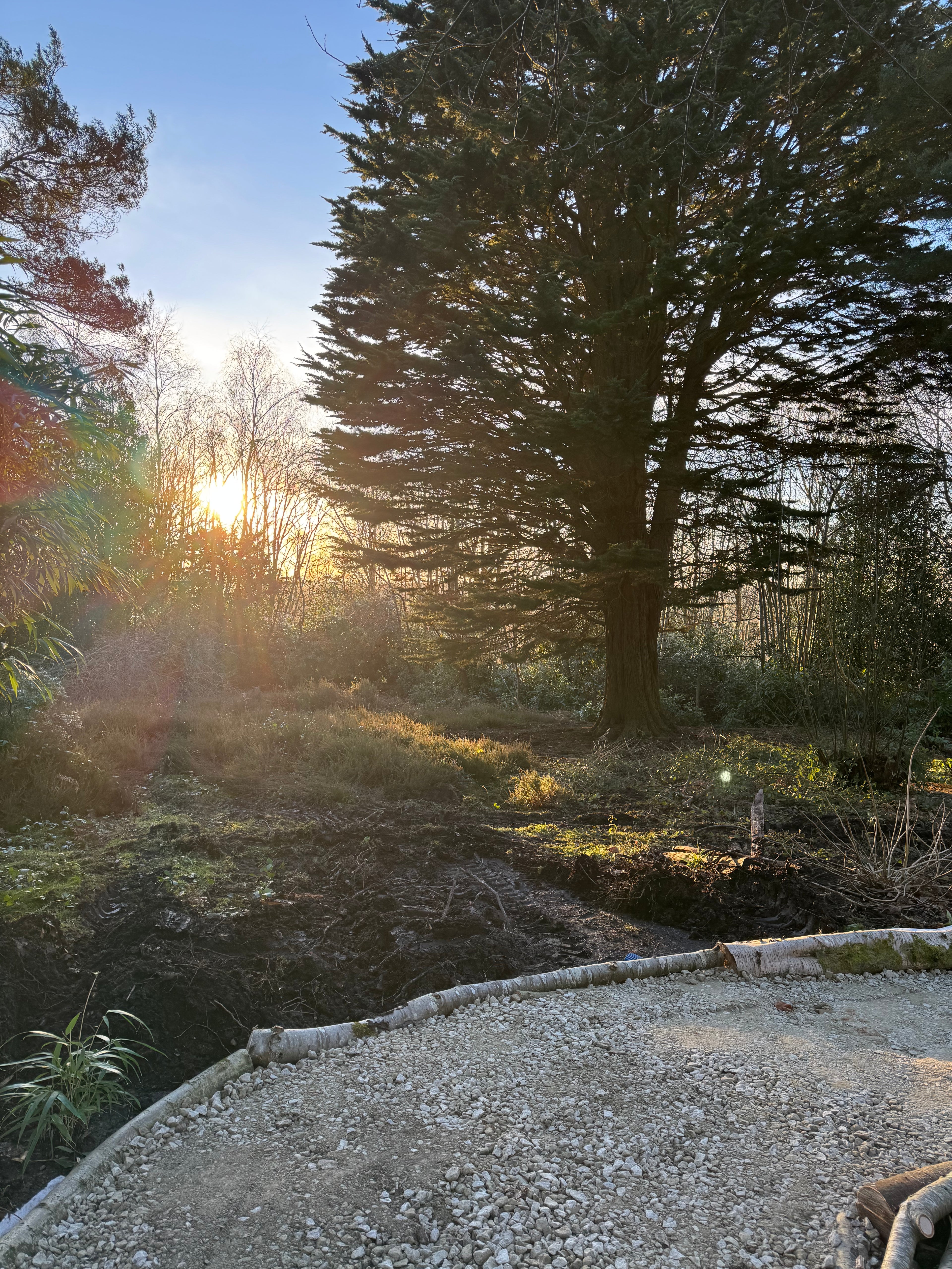 Digital Landscaping Guide - How to Build a Woodland Path - PDF Download