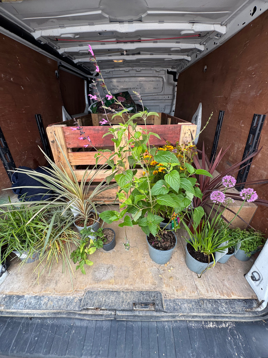 Digital Landscaping Guide - How to Build a Wildlife Pond - PDF Download