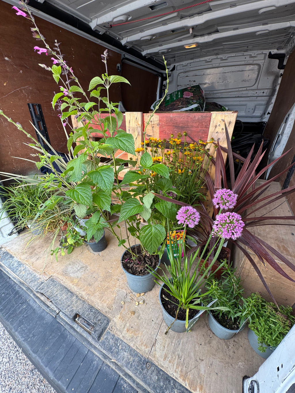 Digital Landscaping Guide - How to Build a Wildlife Pond - PDF Download