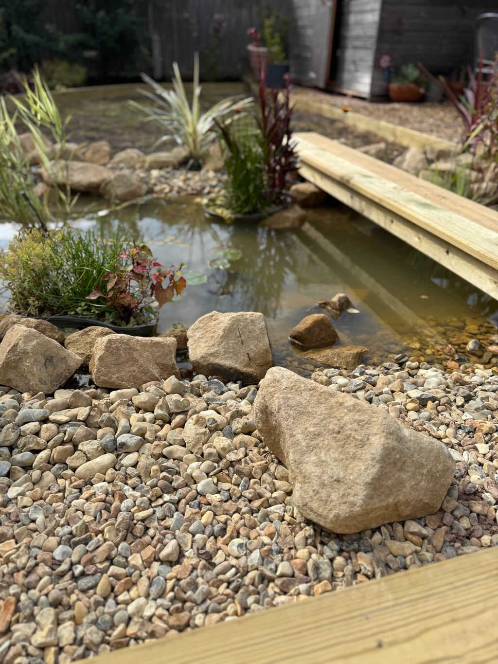 Digital Landscaping Guide - How to Build a Wildlife Pond - PDF Download