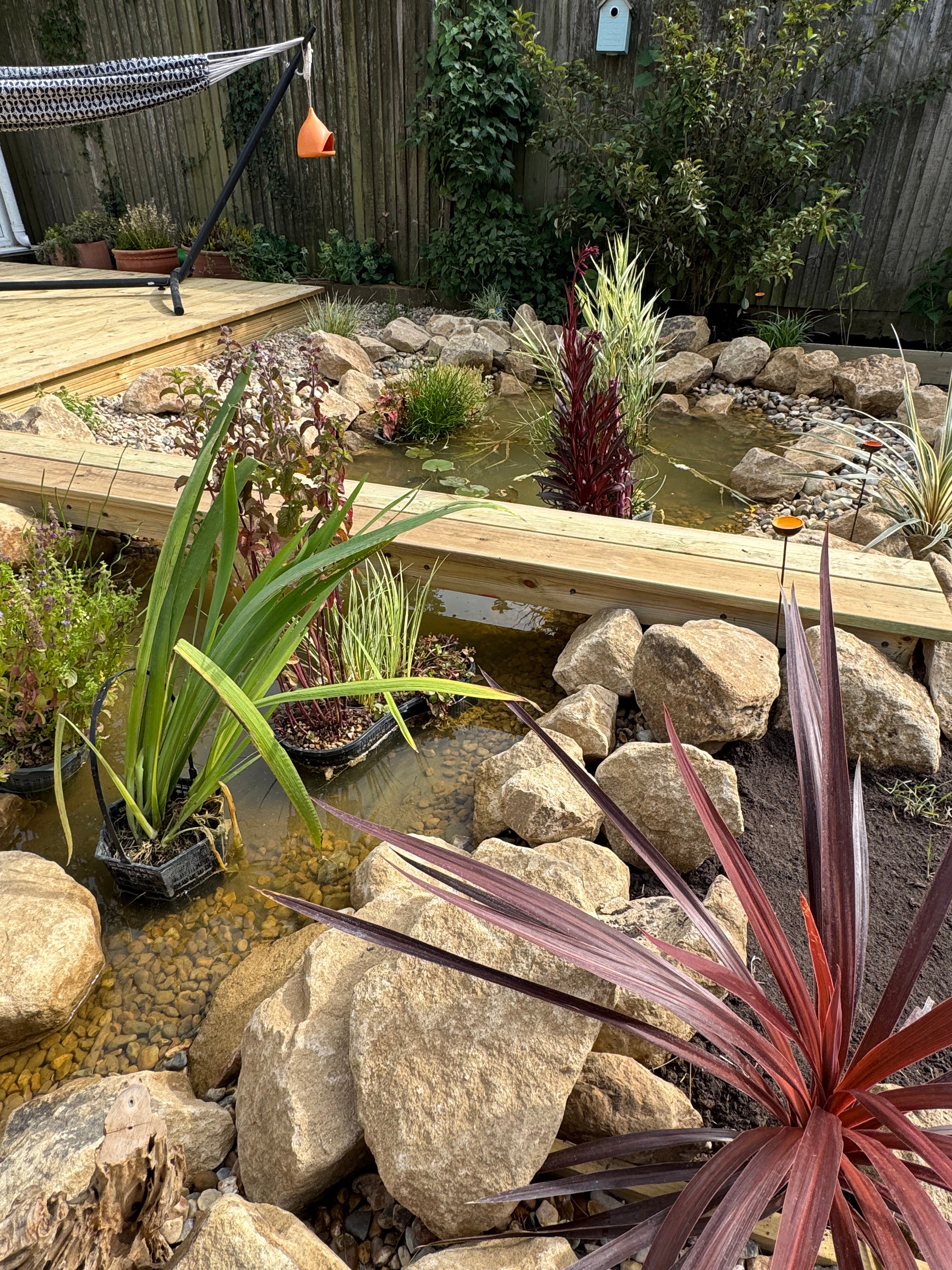 Digital Landscaping Guide - How to Build a Wildlife Pond - PDF Download