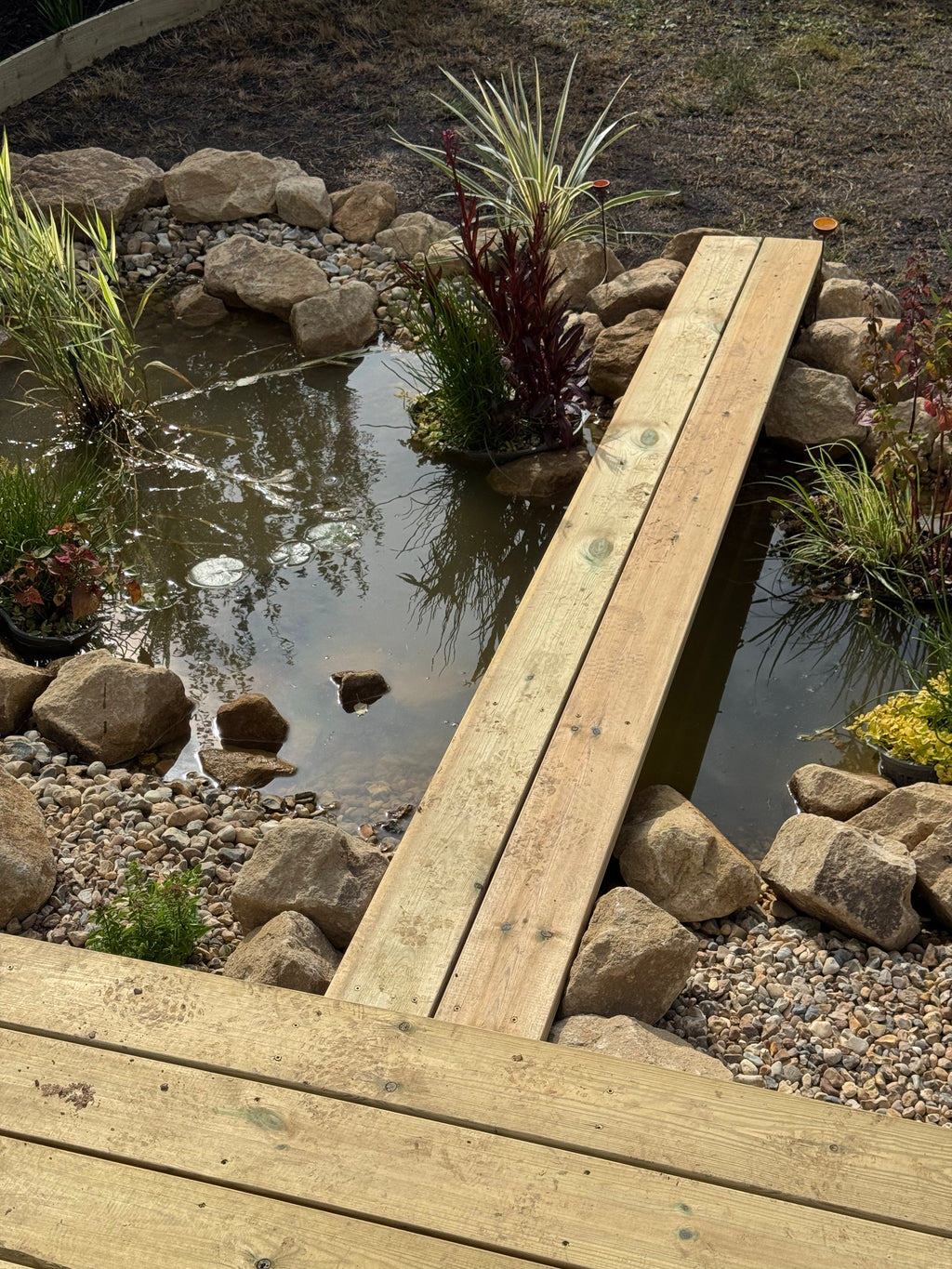 Digital Landscaping Guide - How to Build a Wildlife Pond - PDF Download