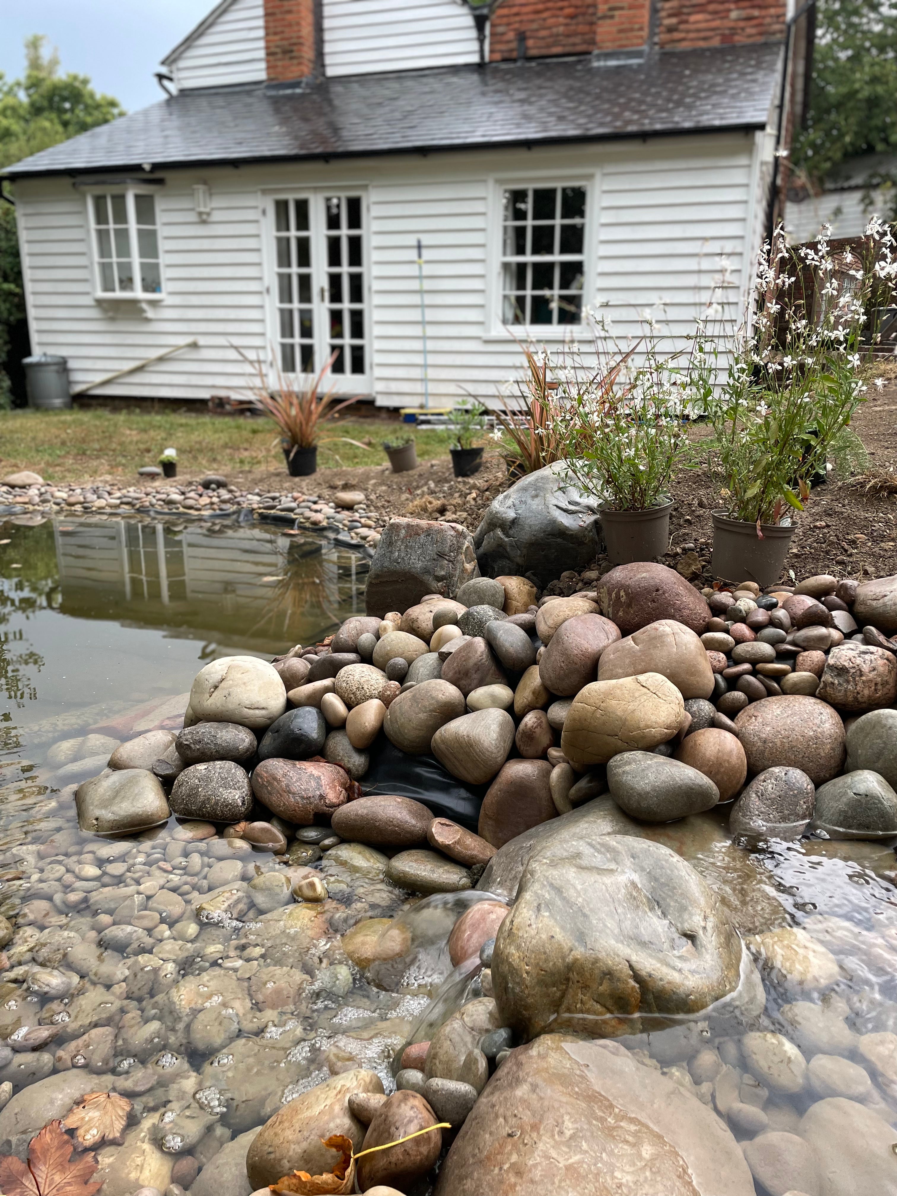 Digital Landscaping Guide - How to Build a Wildlife Pond - PDF Download