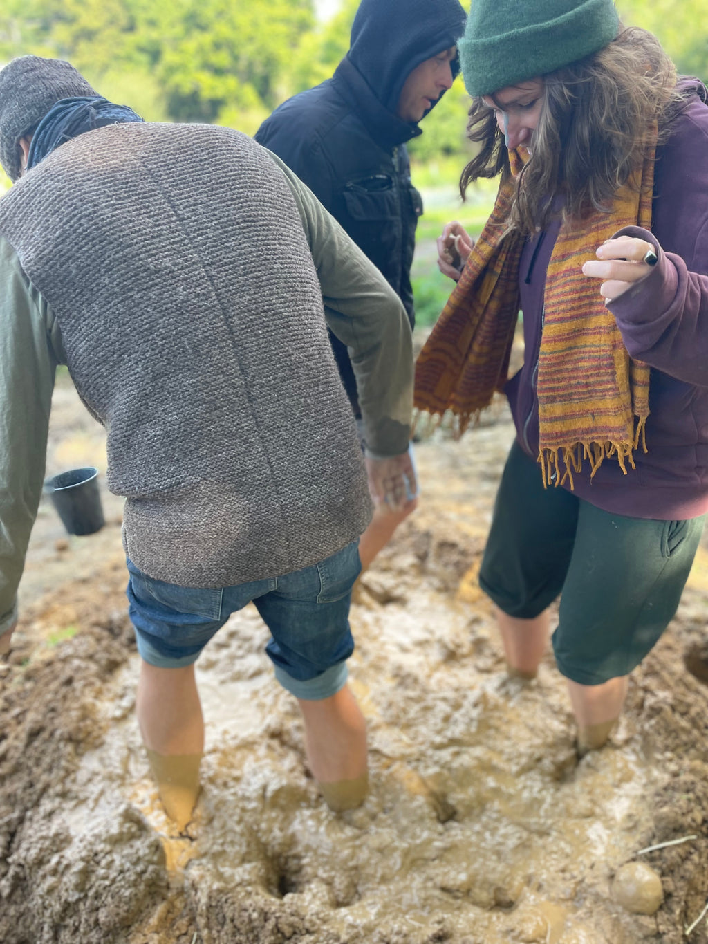 Digital Landscaping Guide - How to Build a Wattle & Daub Wall - PDF Download