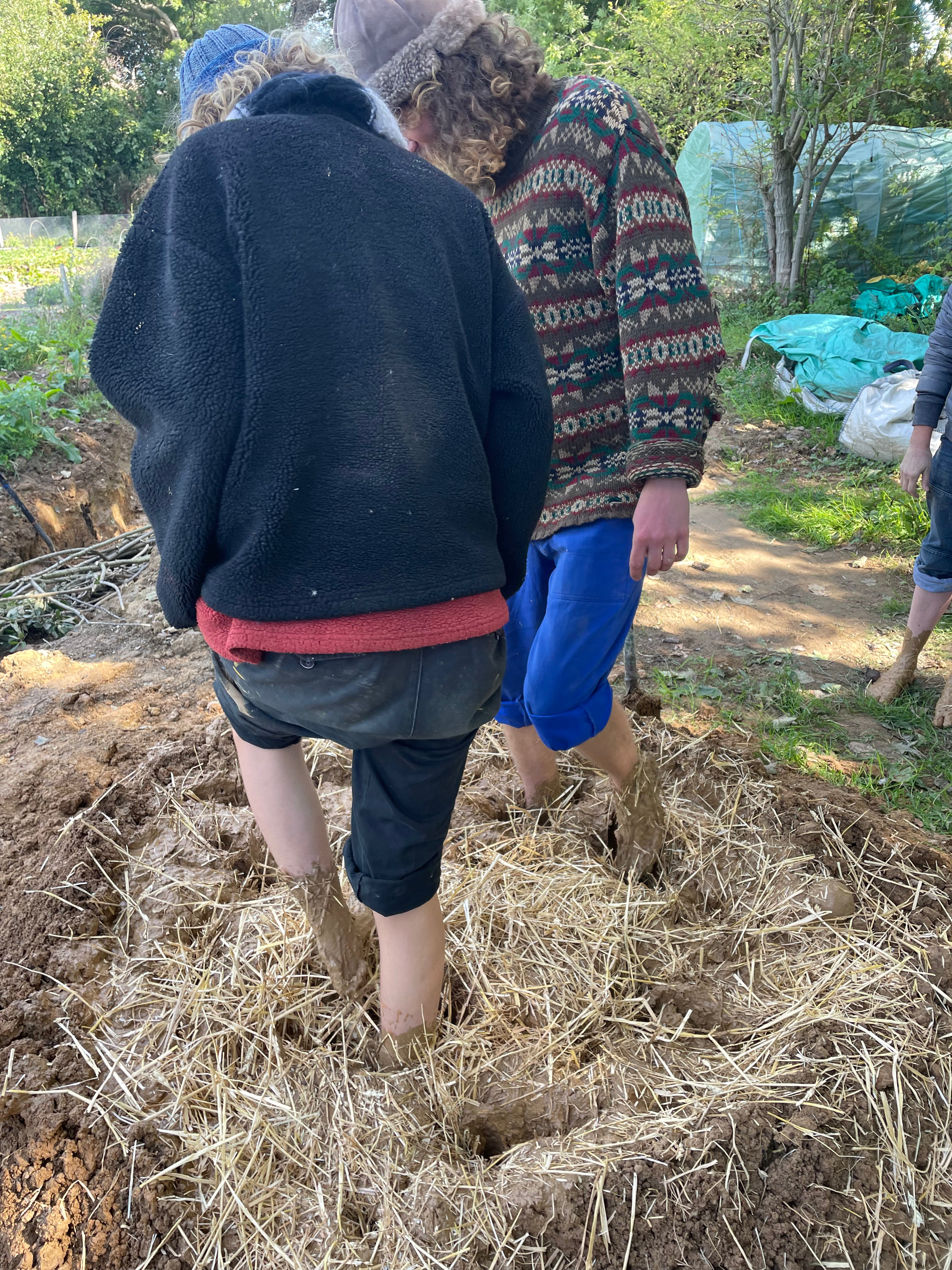 Digital Landscaping Guide - How to Build a Wattle & Daub Wall - PDF Download