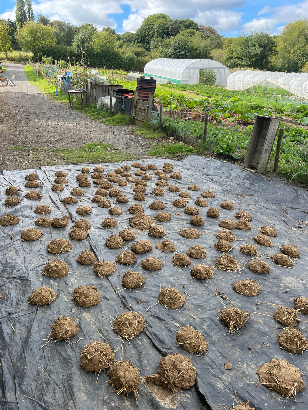 Digital Landscaping Guide - How to Build a Wattle & Daub Wall - PDF Download