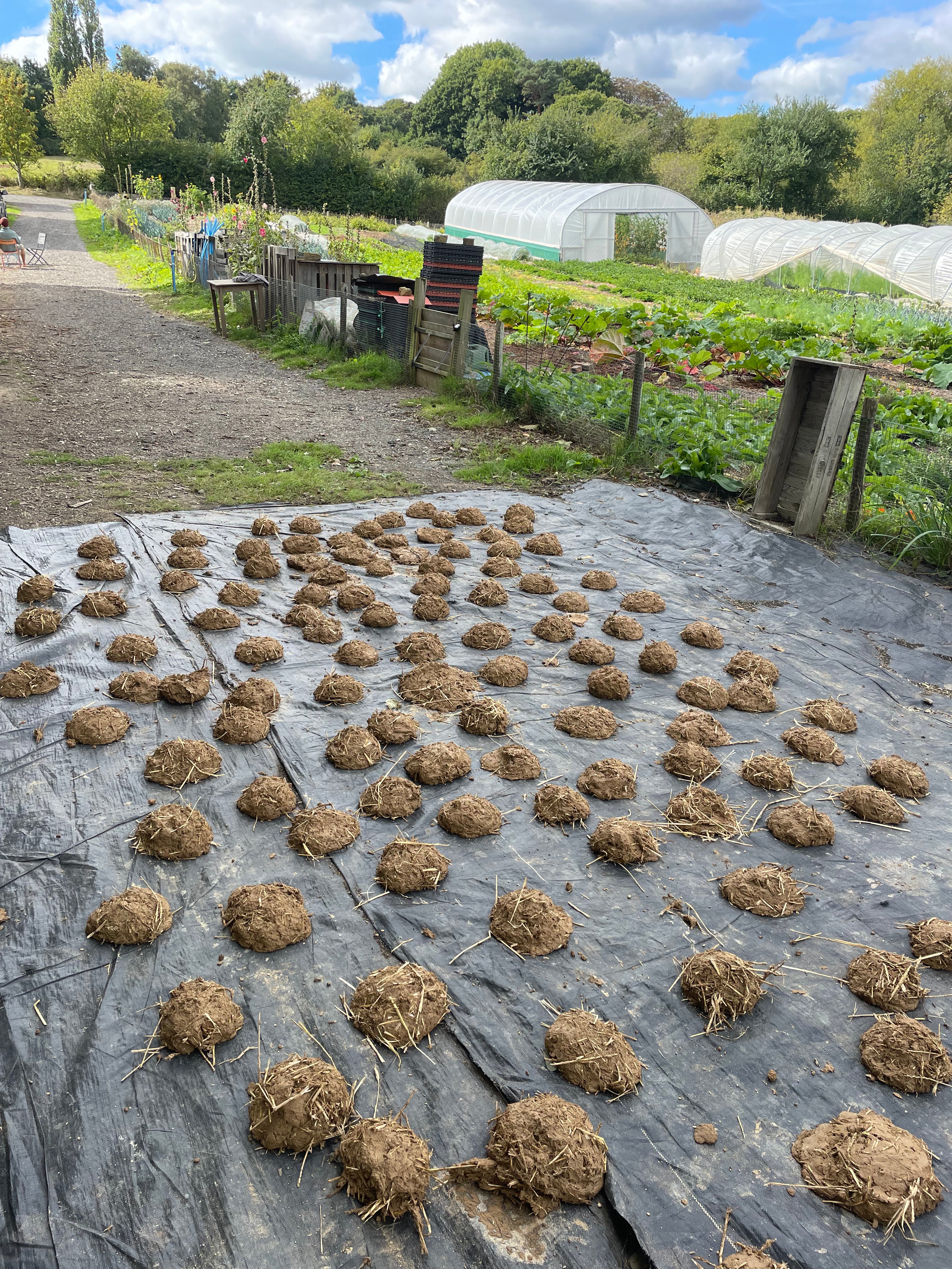 Digital Landscaping Guide - How to Build a Wattle & Daub Wall - PDF Download