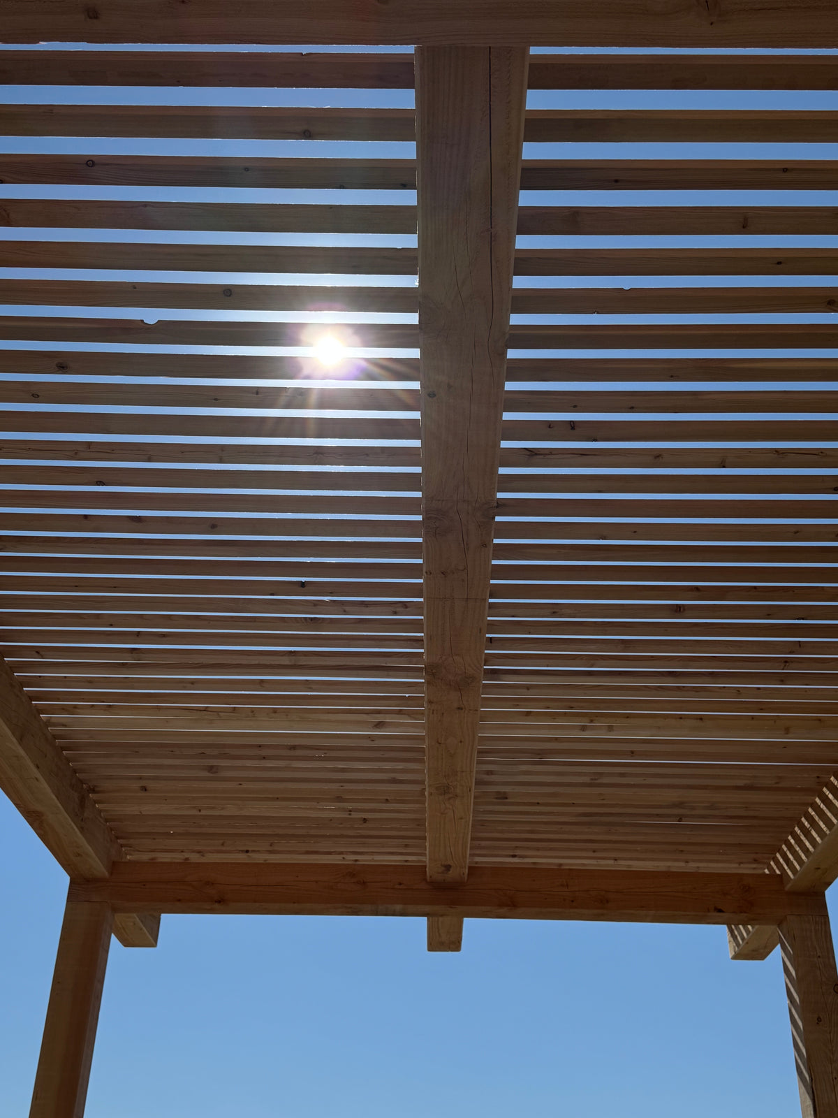 Digital Landscaping Guide - How to Build a Shaded Larch Pergola : Step-by-step instructions