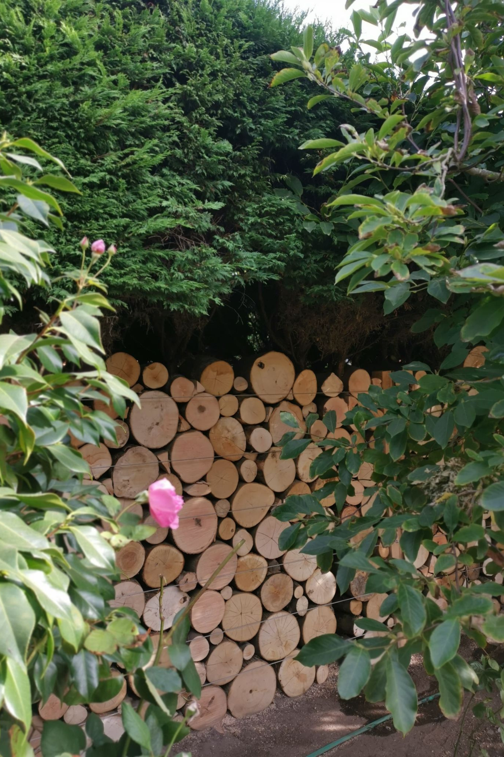 Digital Landscaping Guide - How to Build a Feature Log Wall - PDF Download