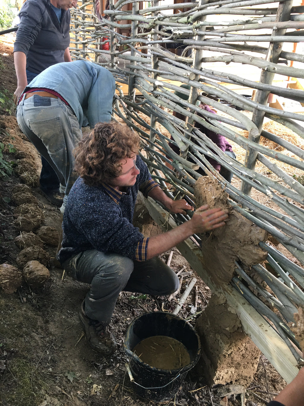 Digital Landscaping Guide - How to Build a Wattle & Daub Wall - PDF Download